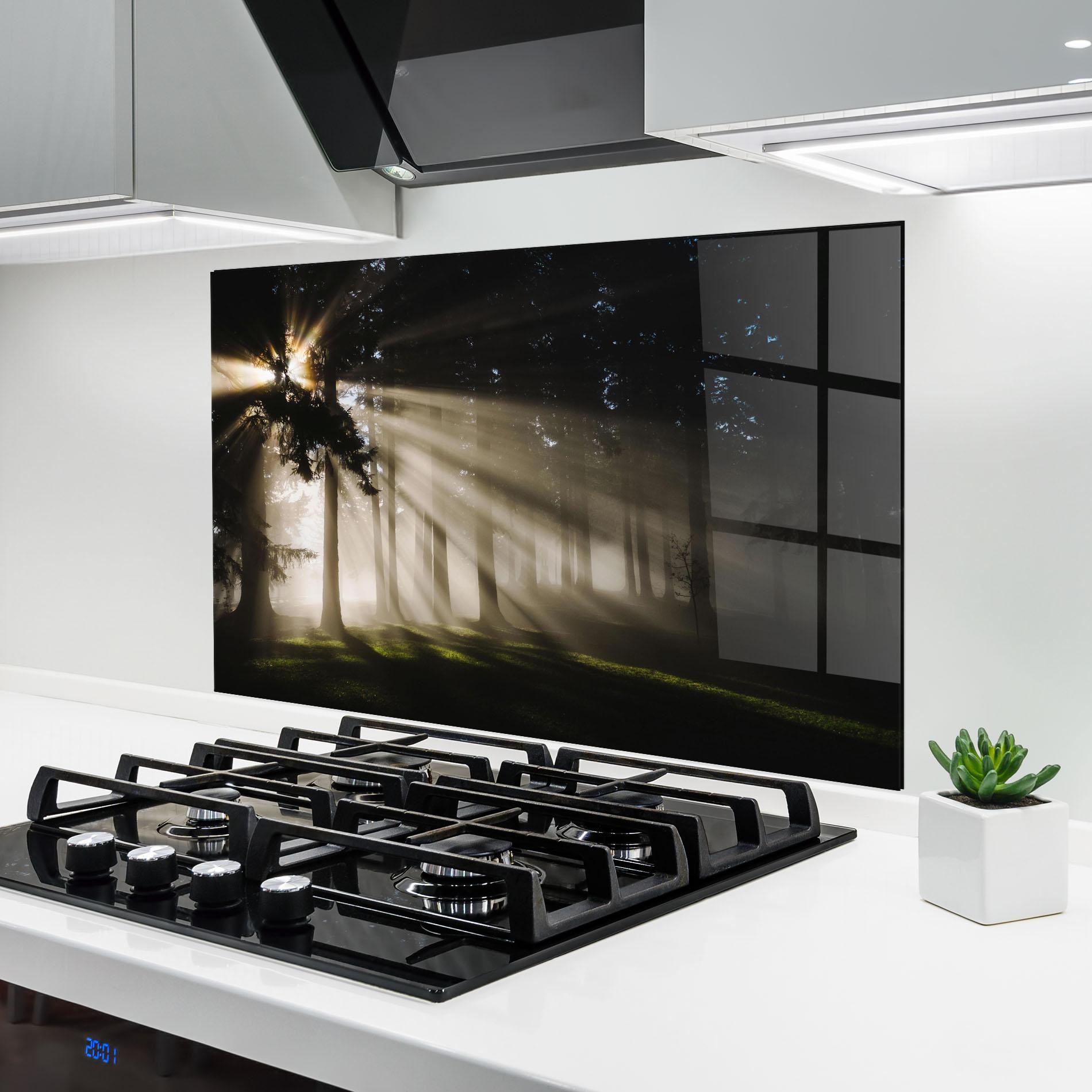 Küchenrückwand Glas Forest Foggy Daylight mockup 6