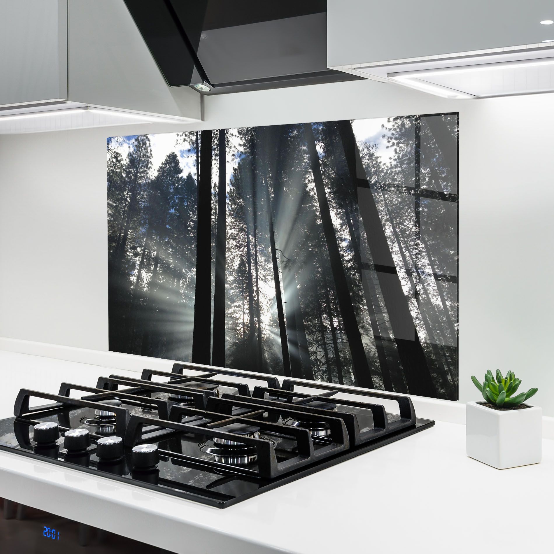 Morning Light Forest mockup 6