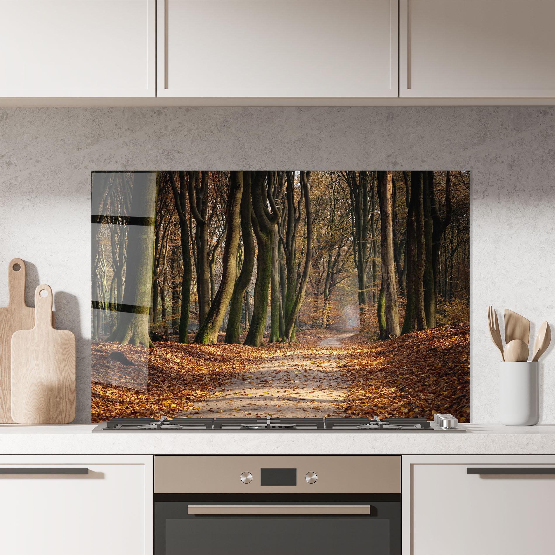 Küchenrückwand Glas Autumn Path Forest mockup 7