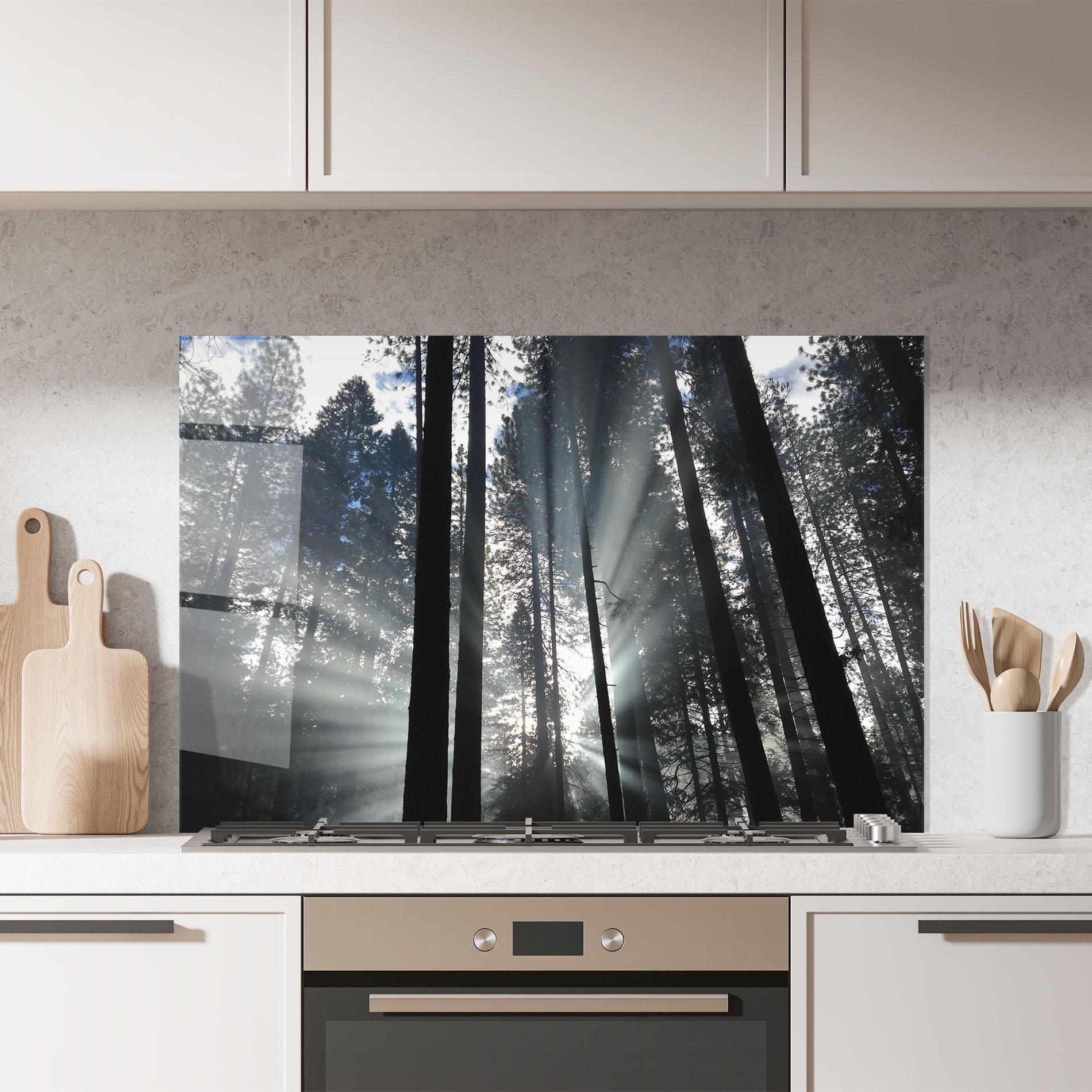 Küchenrückwand Glas Morning Light Forest mockup 7