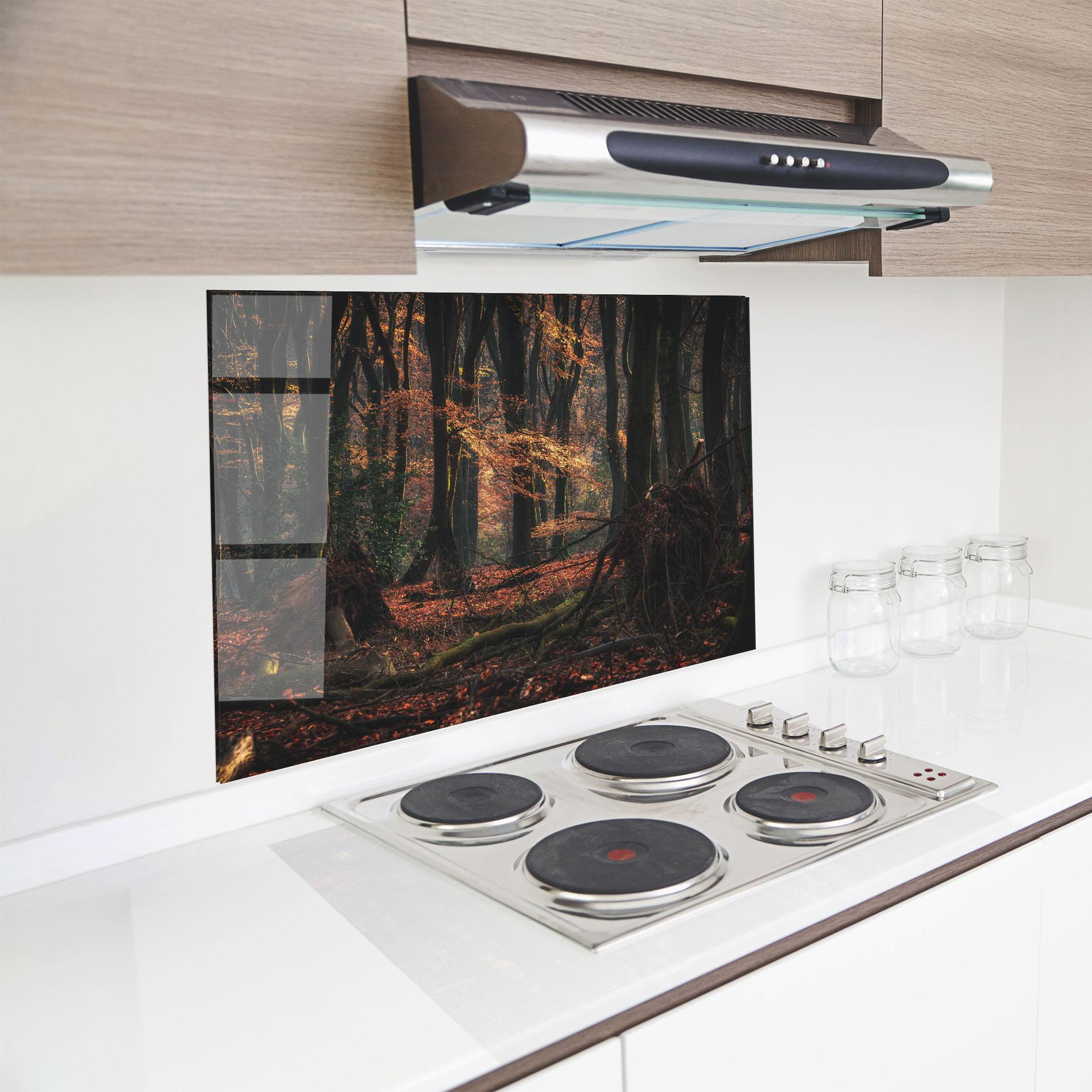 Küchenrückwand Glas Autumn Forest Trees mockup 8