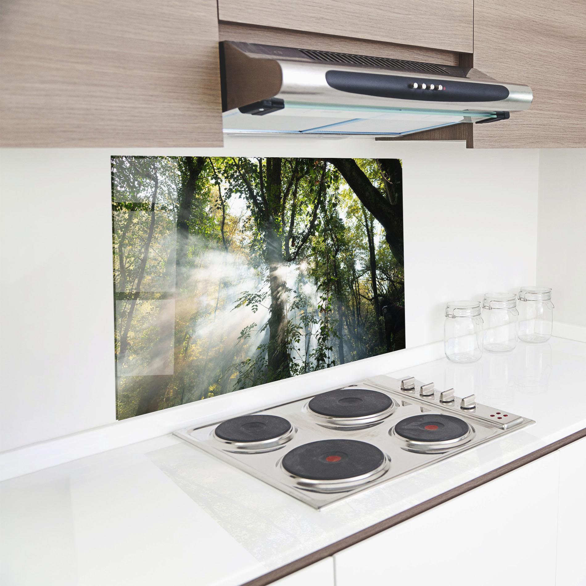 Küchenrückwand Glas Foggy Light Forest mockup 8