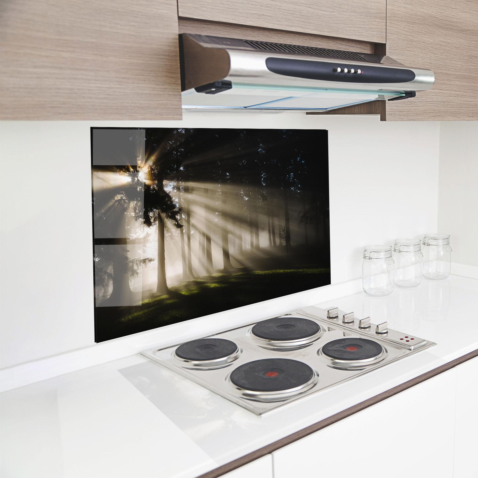 Küchenrückwand Glas Forest Foggy Daylight mockup 8