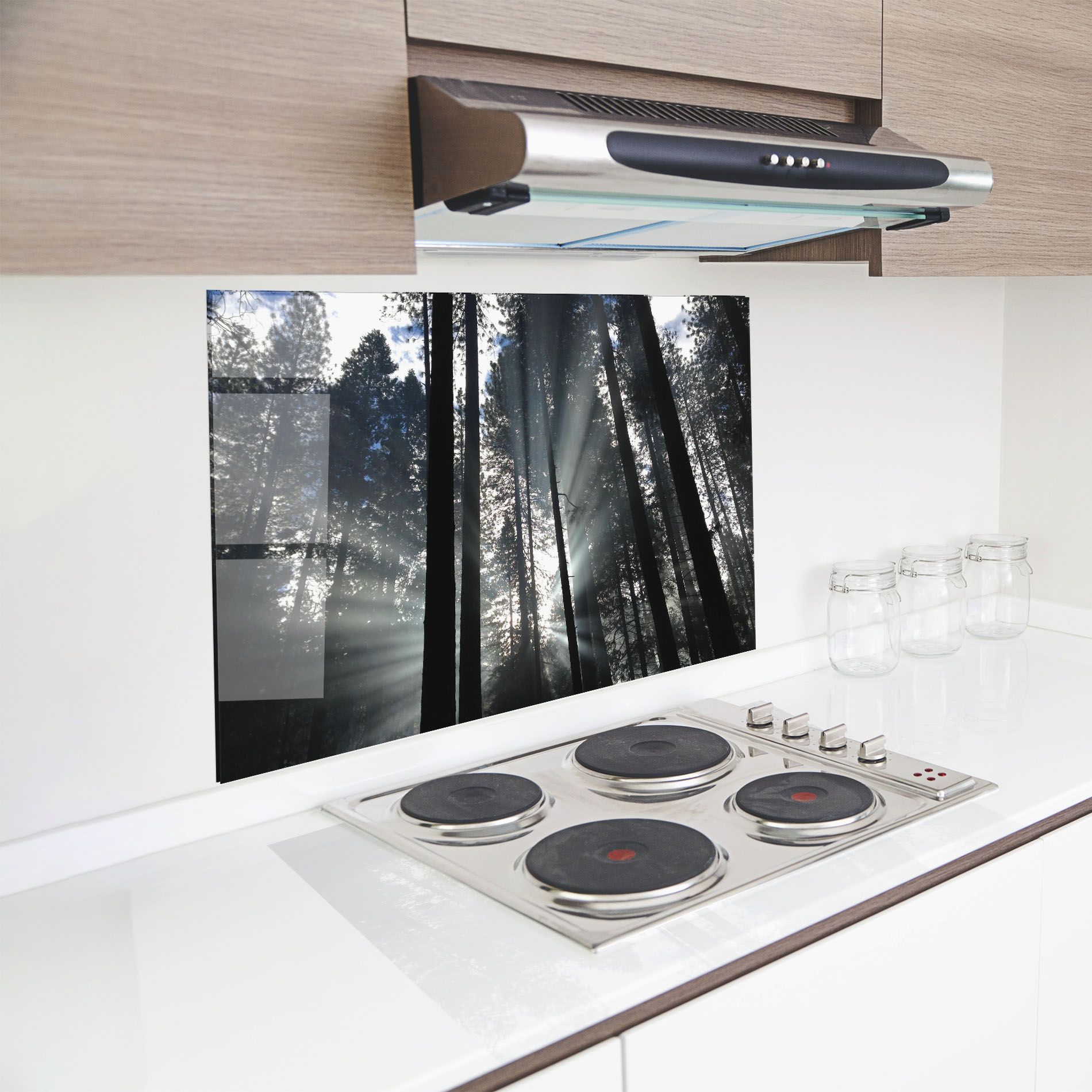 Morning Light Forest mockup 8