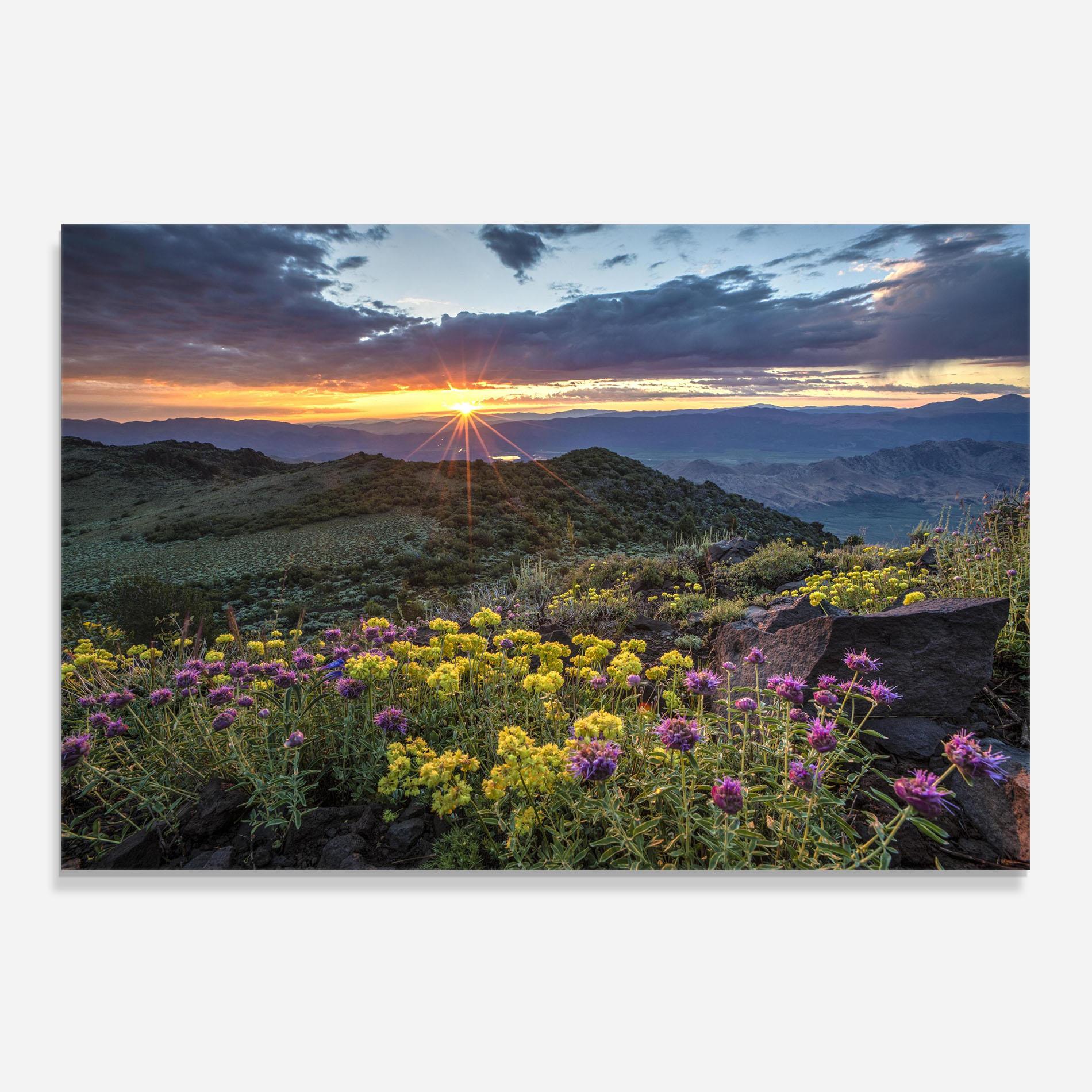 Küchenrückwand Glas Beautiful Spring View mockup 0