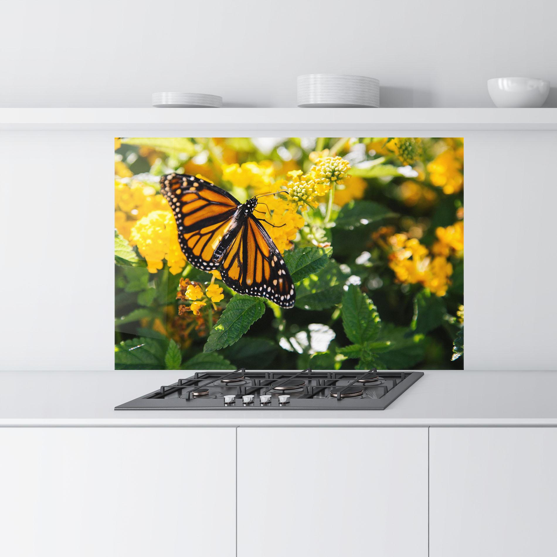 Küchenrückwand Glas Orange Spring Butterfly mockup 9