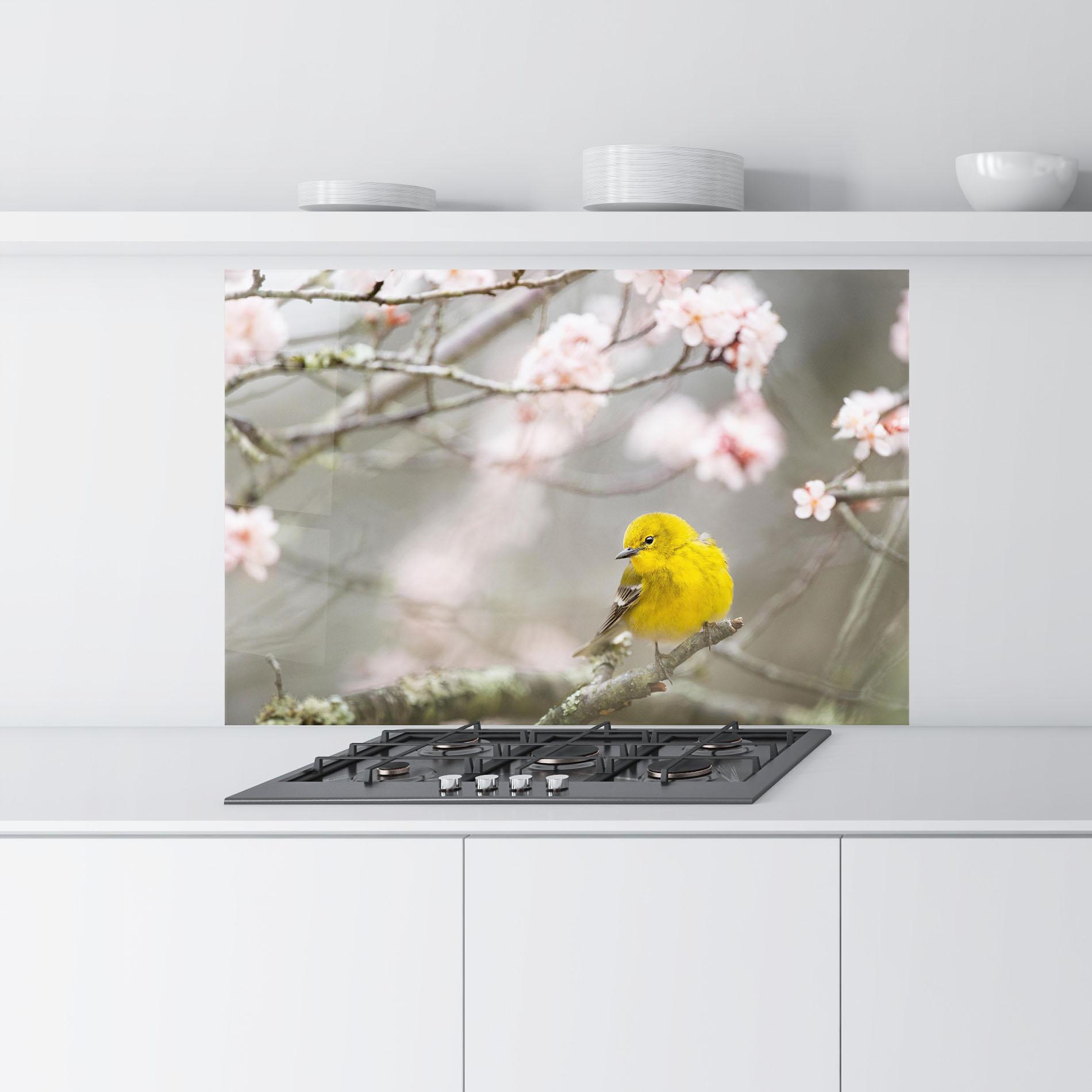 Küchenrückwand Glas Pretty Spring Yellow Bird mockup 9