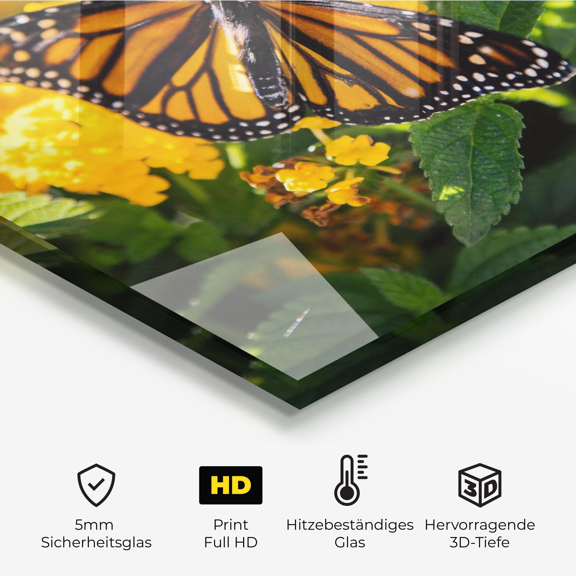 Küchenrückwand Glas Orange Spring Butterfly mockup 2