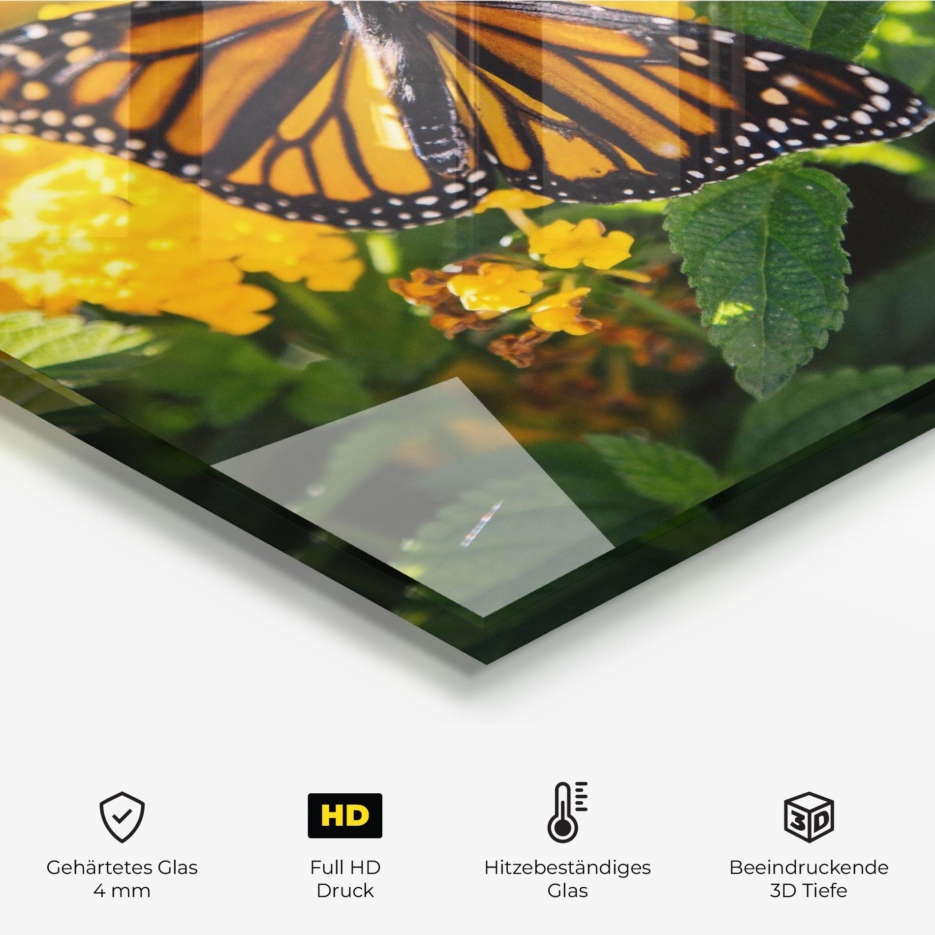 Küchenrückwand Glas Orange Spring Butterfly mockup 2