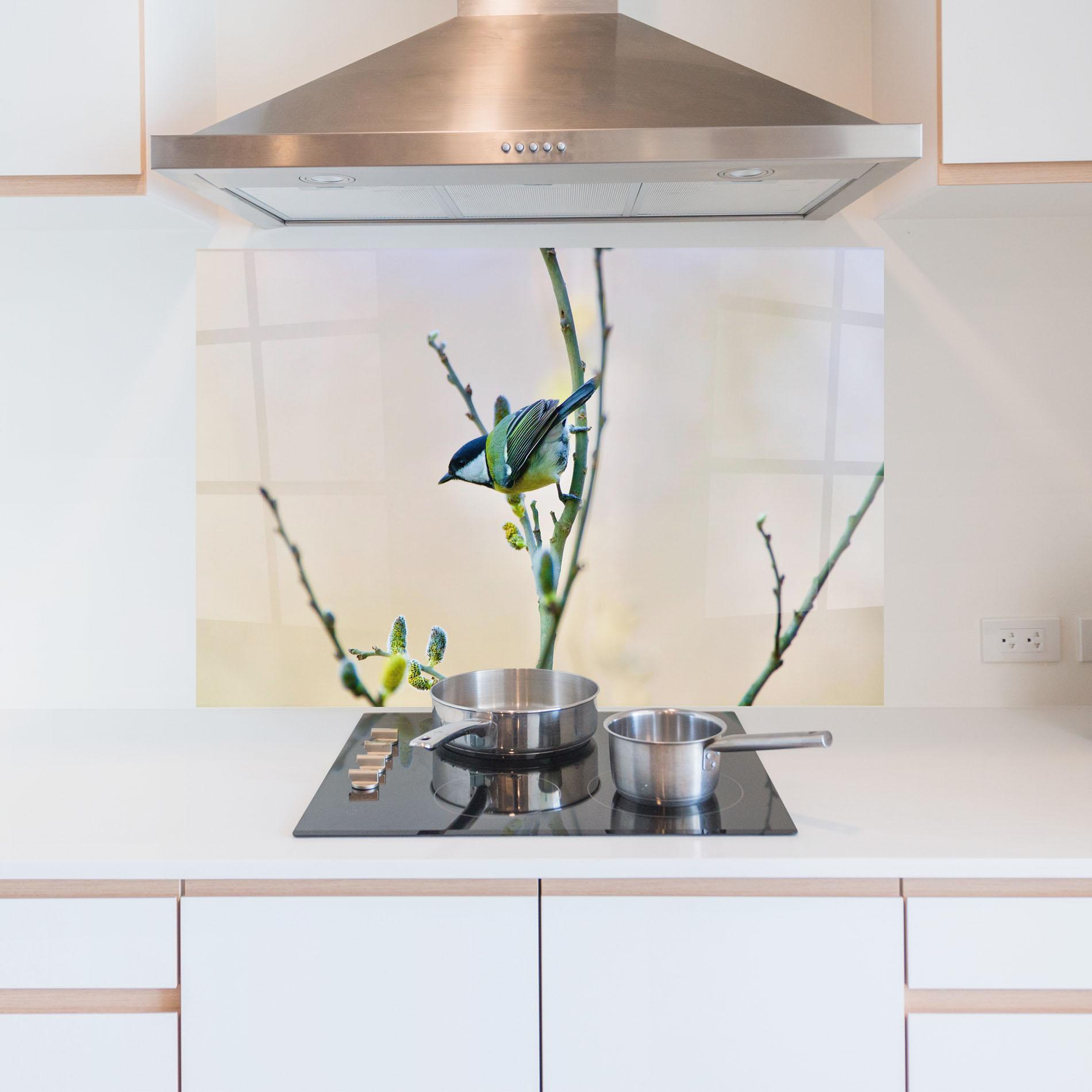 Küchenrückwand Glas Beautiful Spring Bird mockup 5