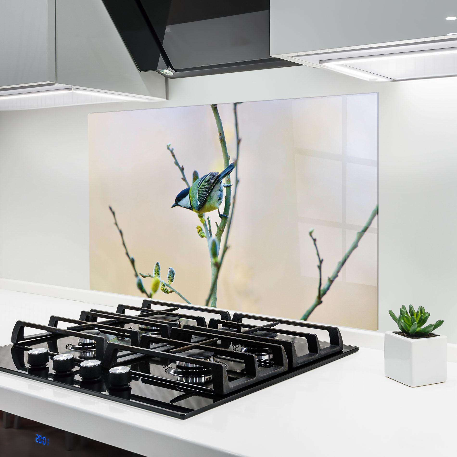Küchenrückwand Glas Beautiful Spring Bird mockup 6