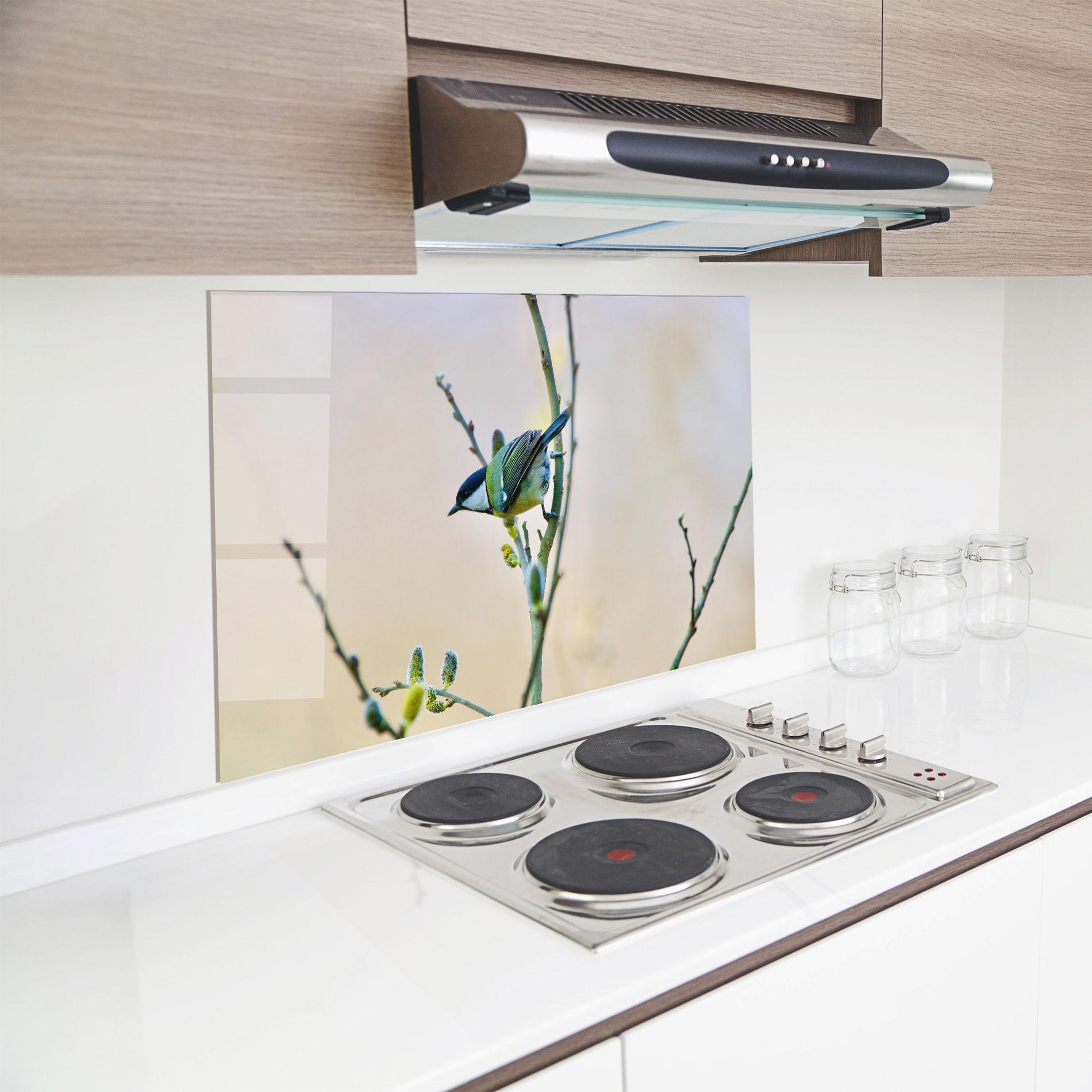 Küchenrückwand Glas Beautiful Spring Bird mockup 8