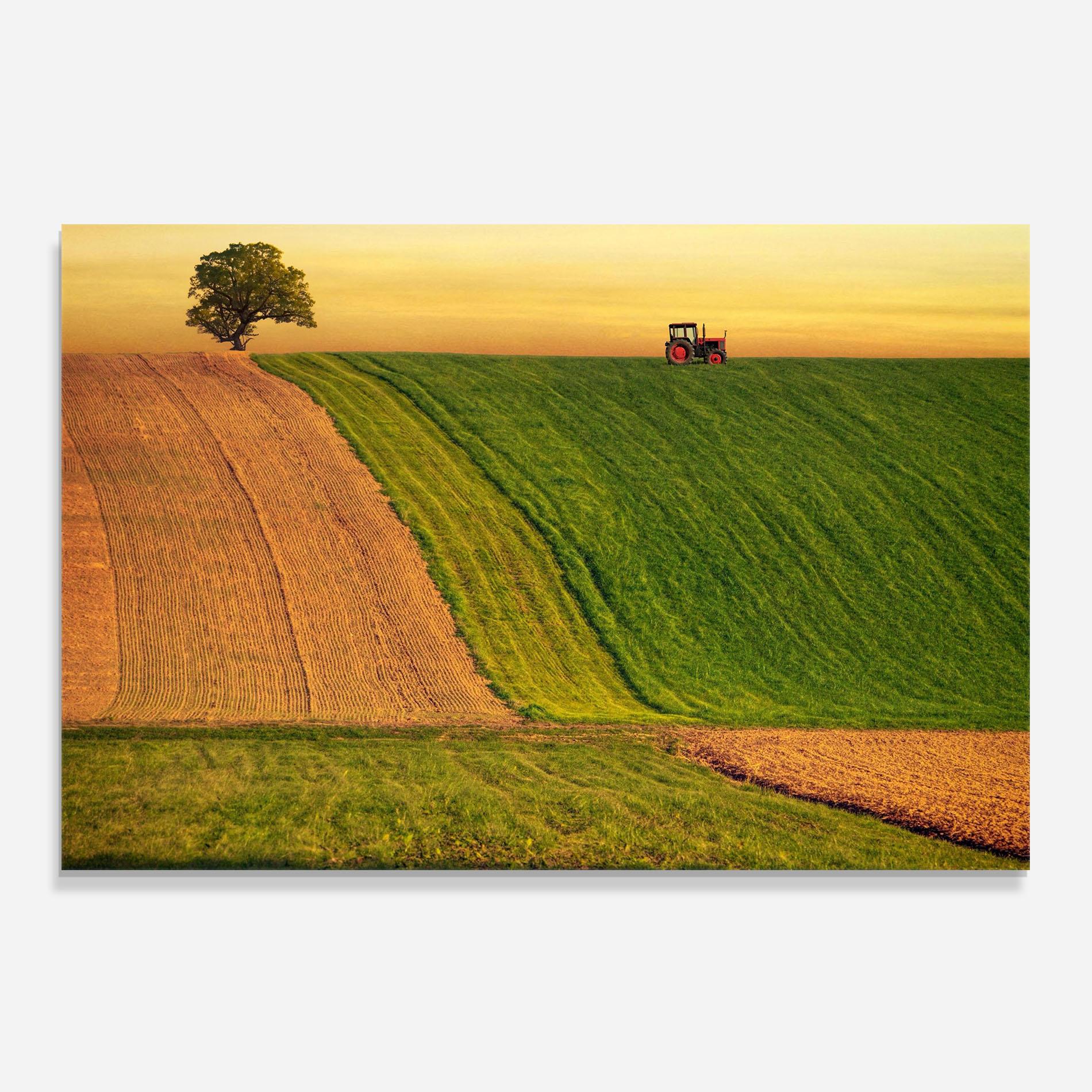 Küchenrückwand Glas Green Cream Field mockup 0