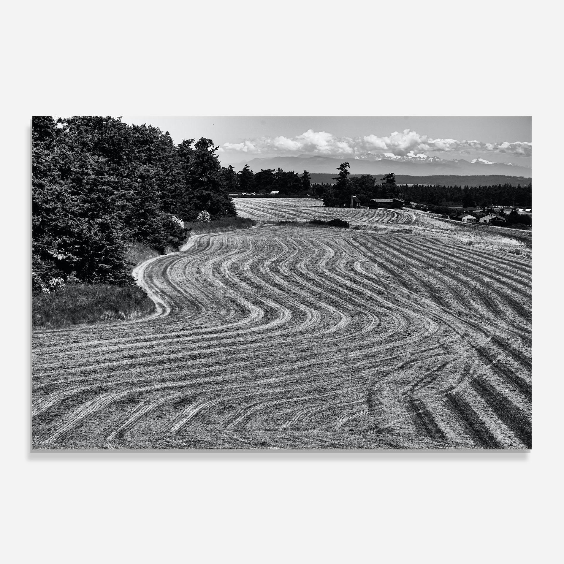 Küchenrückwand Glas Grey Land mockup 0