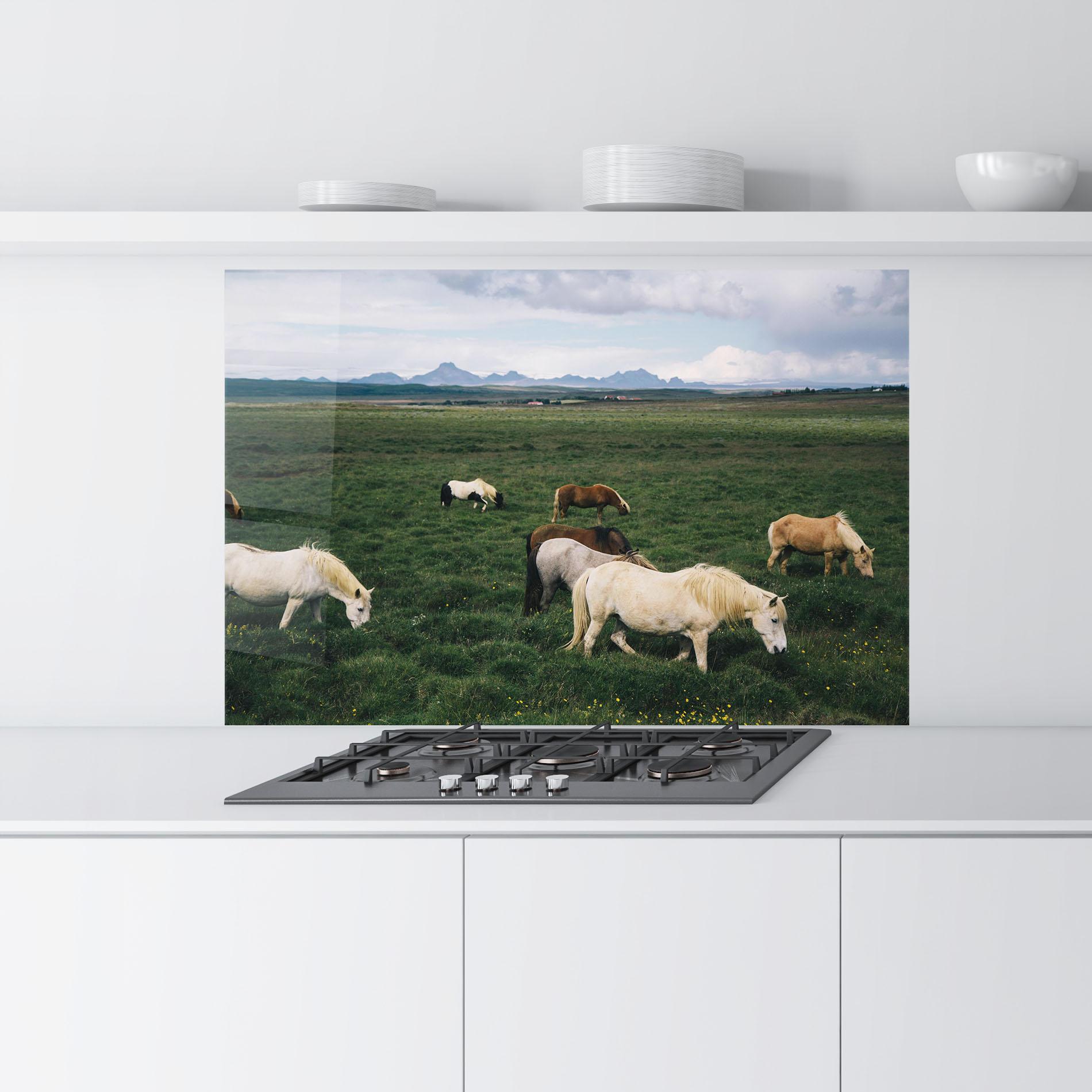 Küchenrückwand Glas Countryside Horses mockup 9