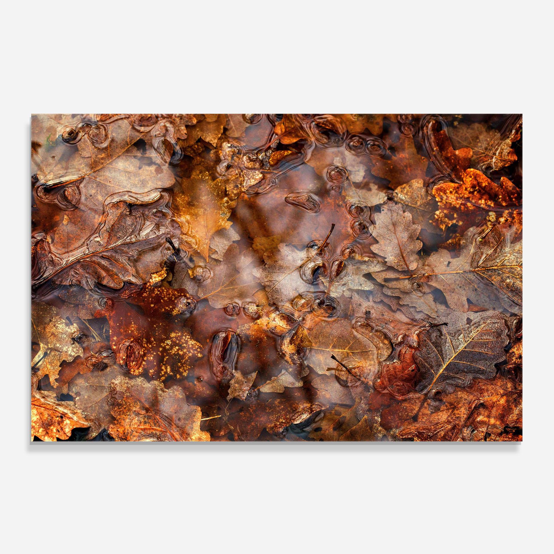 Küchenrückwand Glas Brown mockup 0