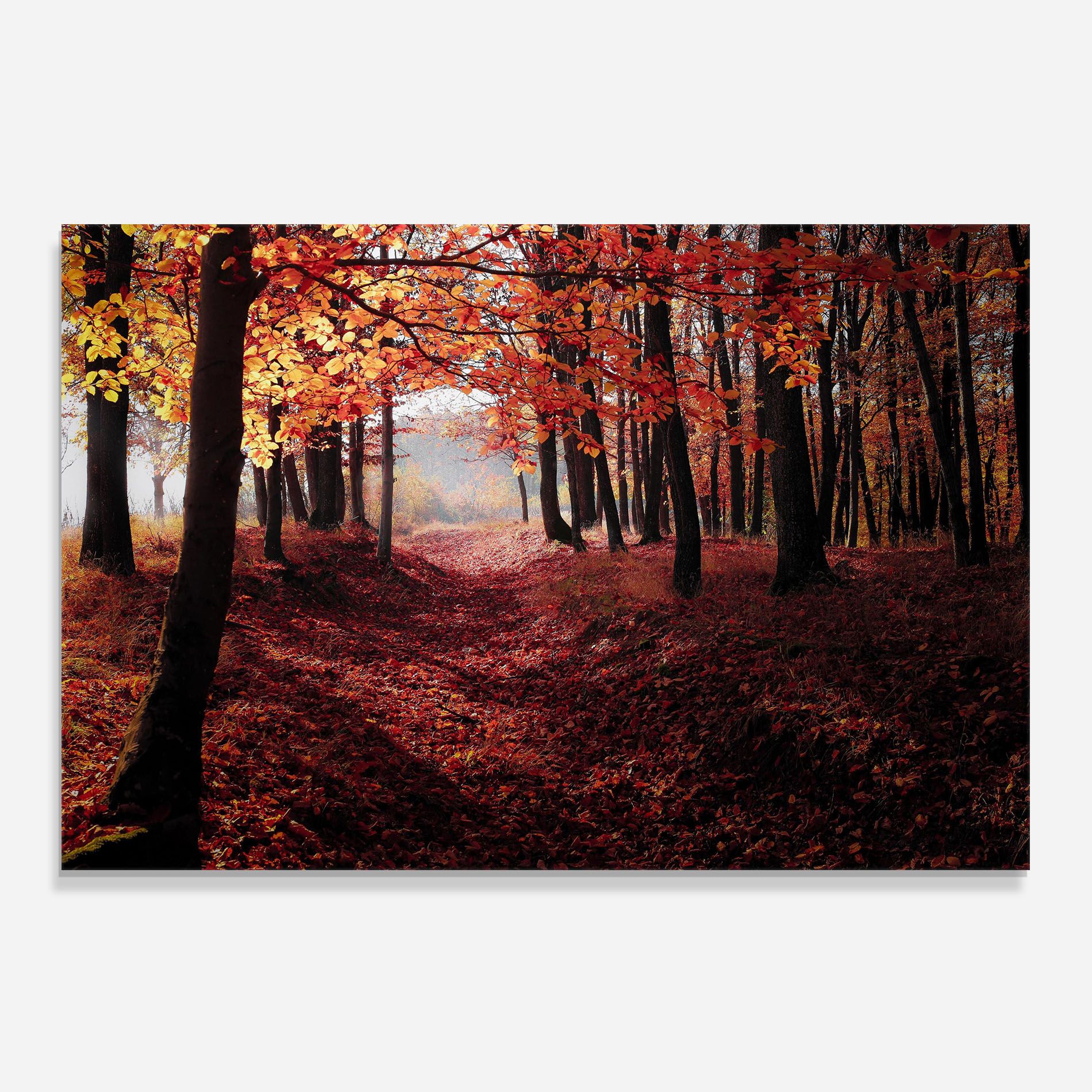 Red Leaves Forest mockup 0