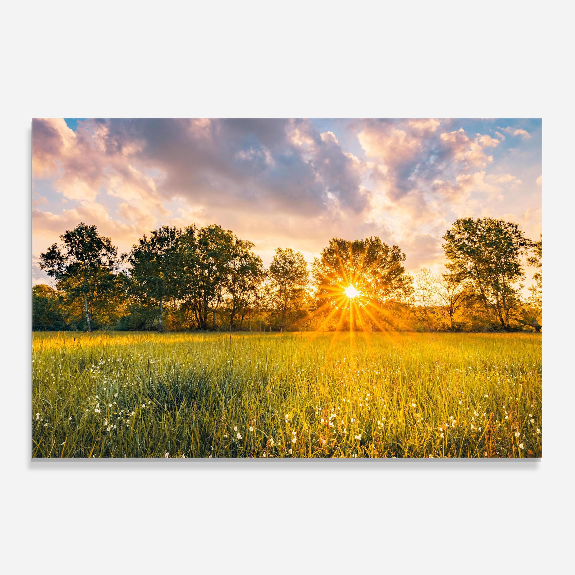 Küchenrückwand Glas Blossoming Meadow mockup 0