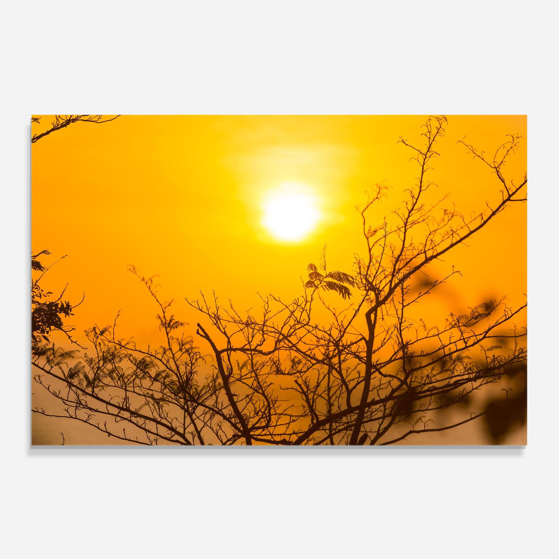 Küchenrückwand Glas Sunset Branches mockup 0