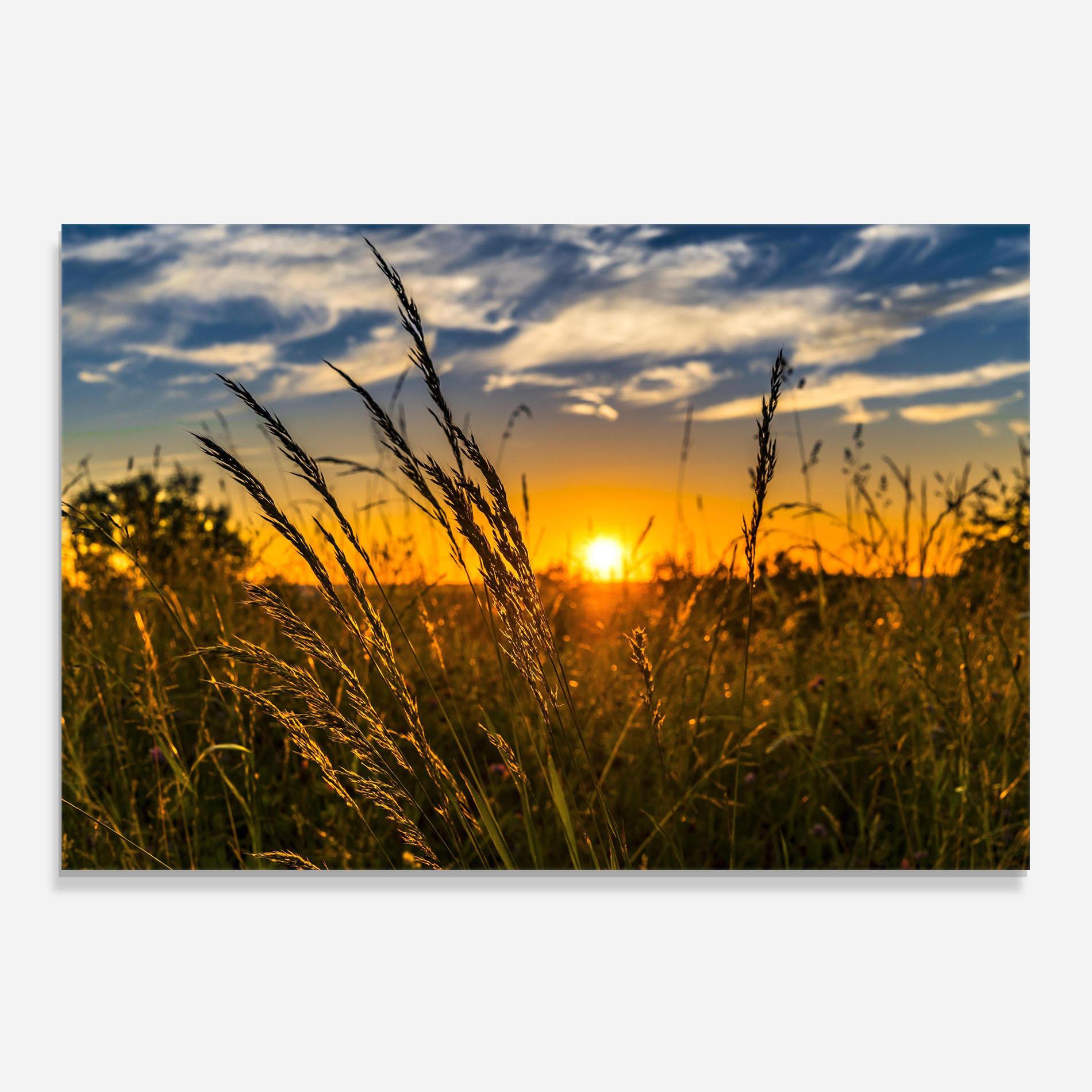 Küchenrückwand Glas Wheat Sunset mockup 0