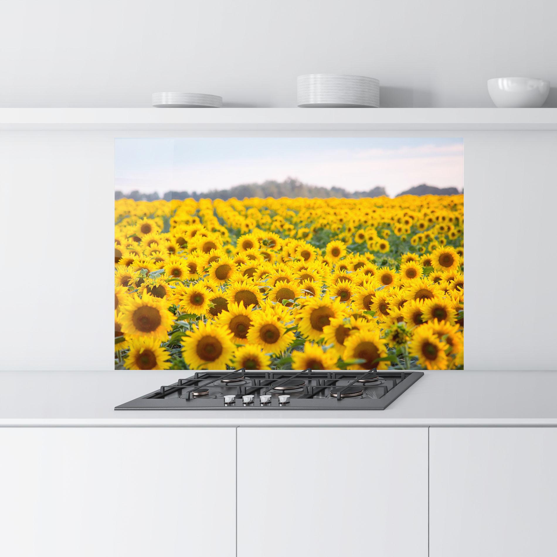 Küchenrückwand Glas Blooming Sunflowers mockup 9