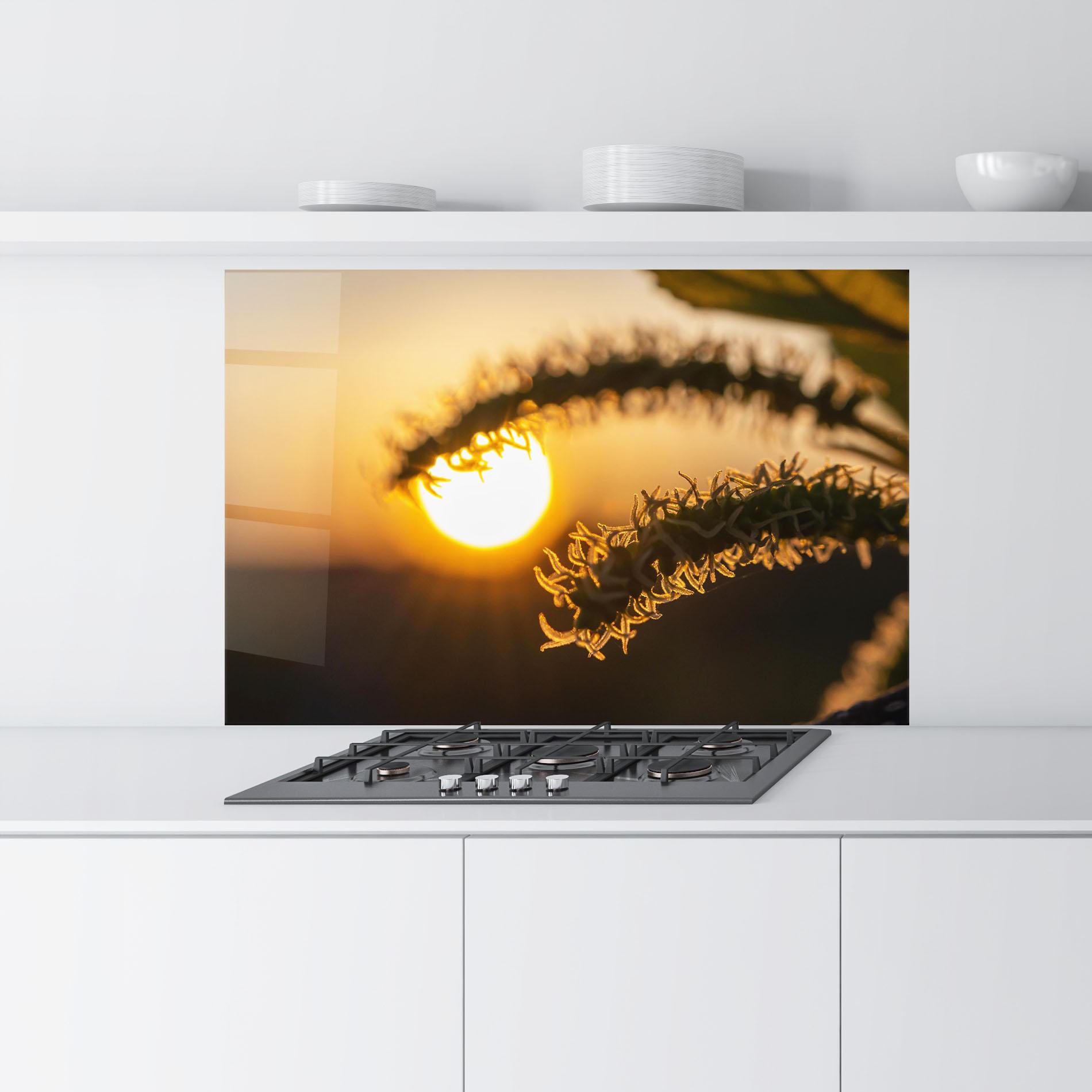Küchenrückwand Glas Plant Shilouette mockup 9