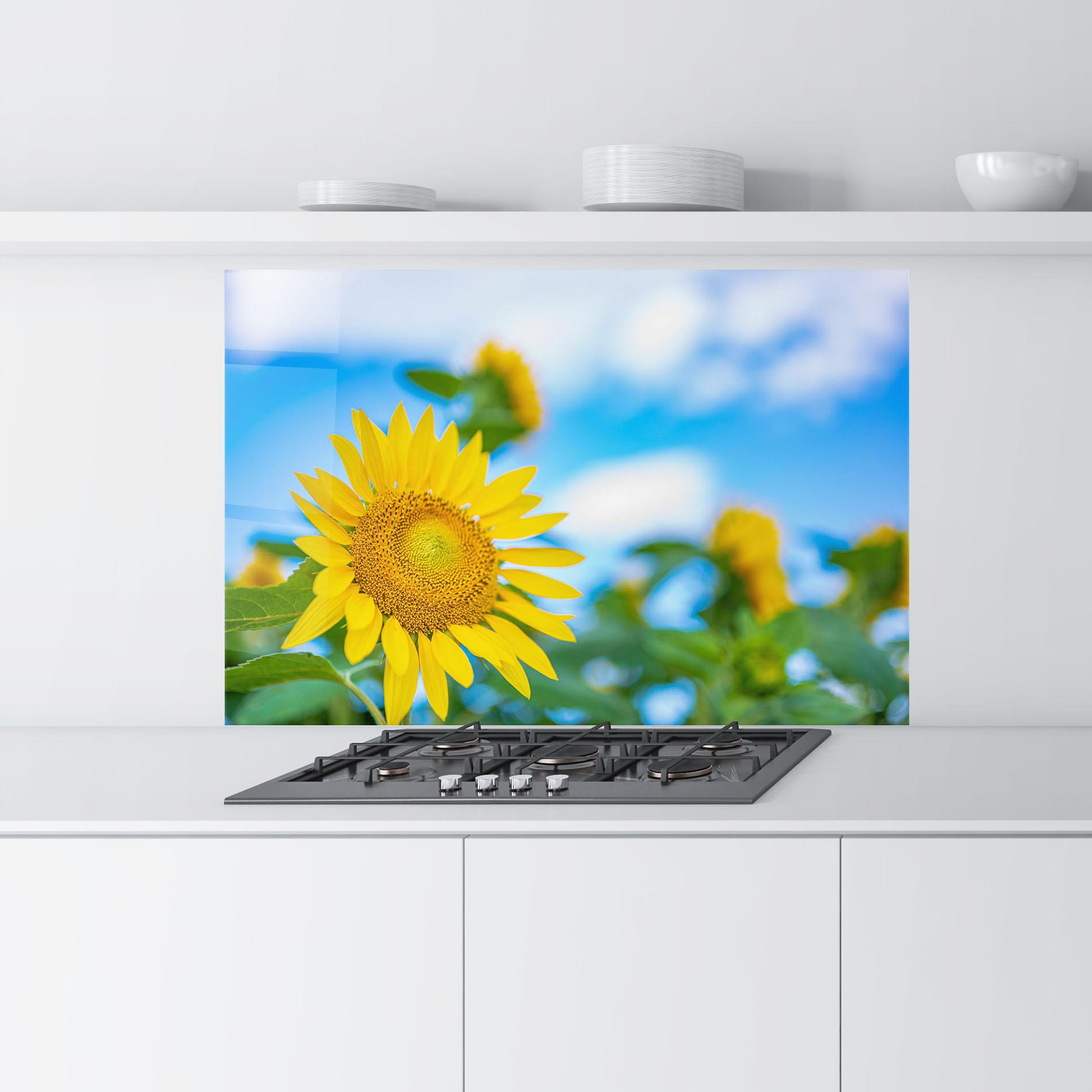 Küchenrückwand Glas Sunflower Sky mockup 9