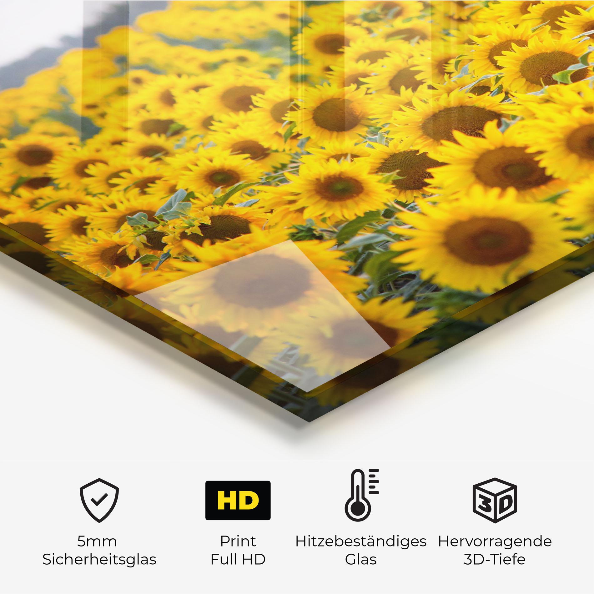 Küchenrückwand Glas Blooming Sunflowers mockup 2