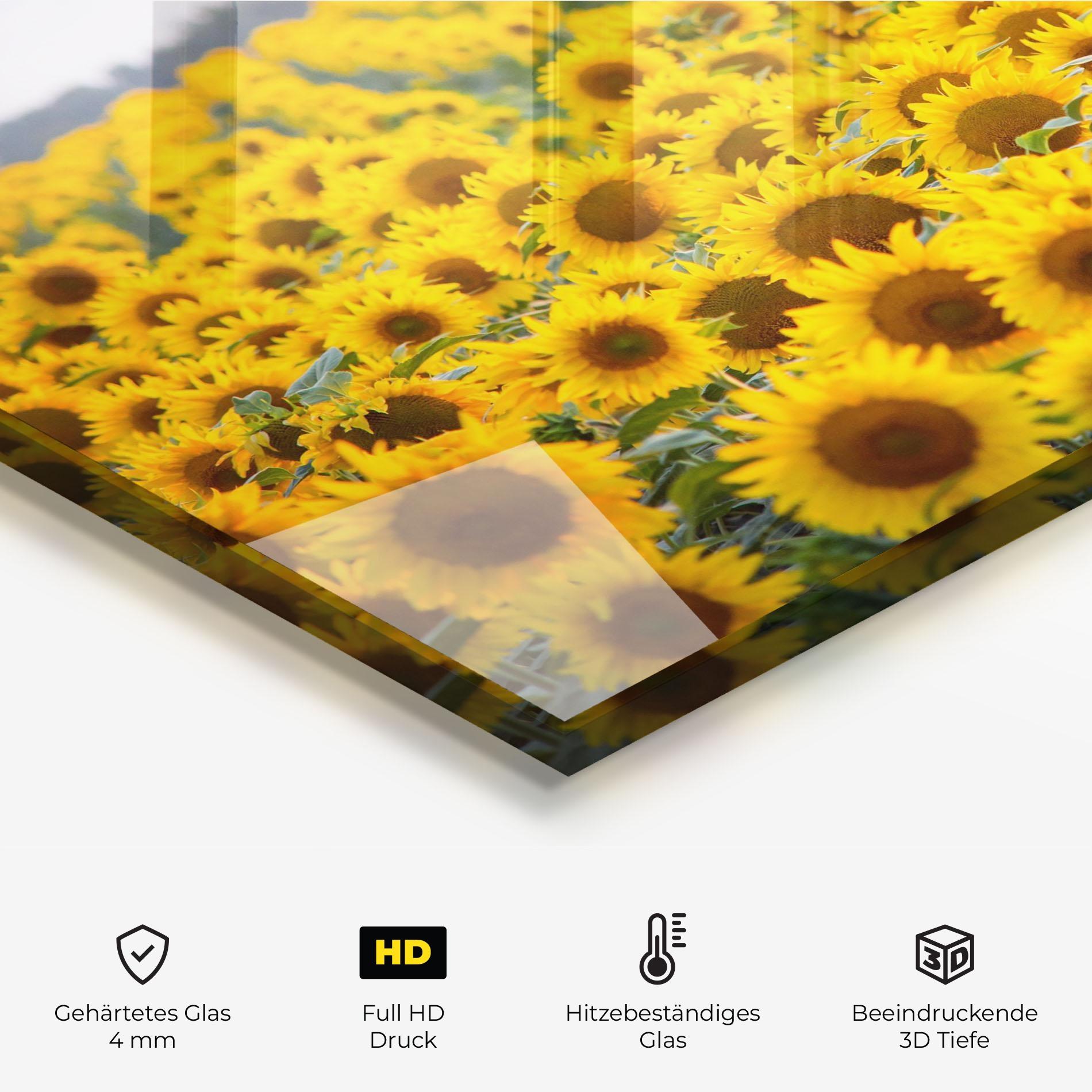 Küchenrückwand Glas Blooming Sunflowers mockup 2