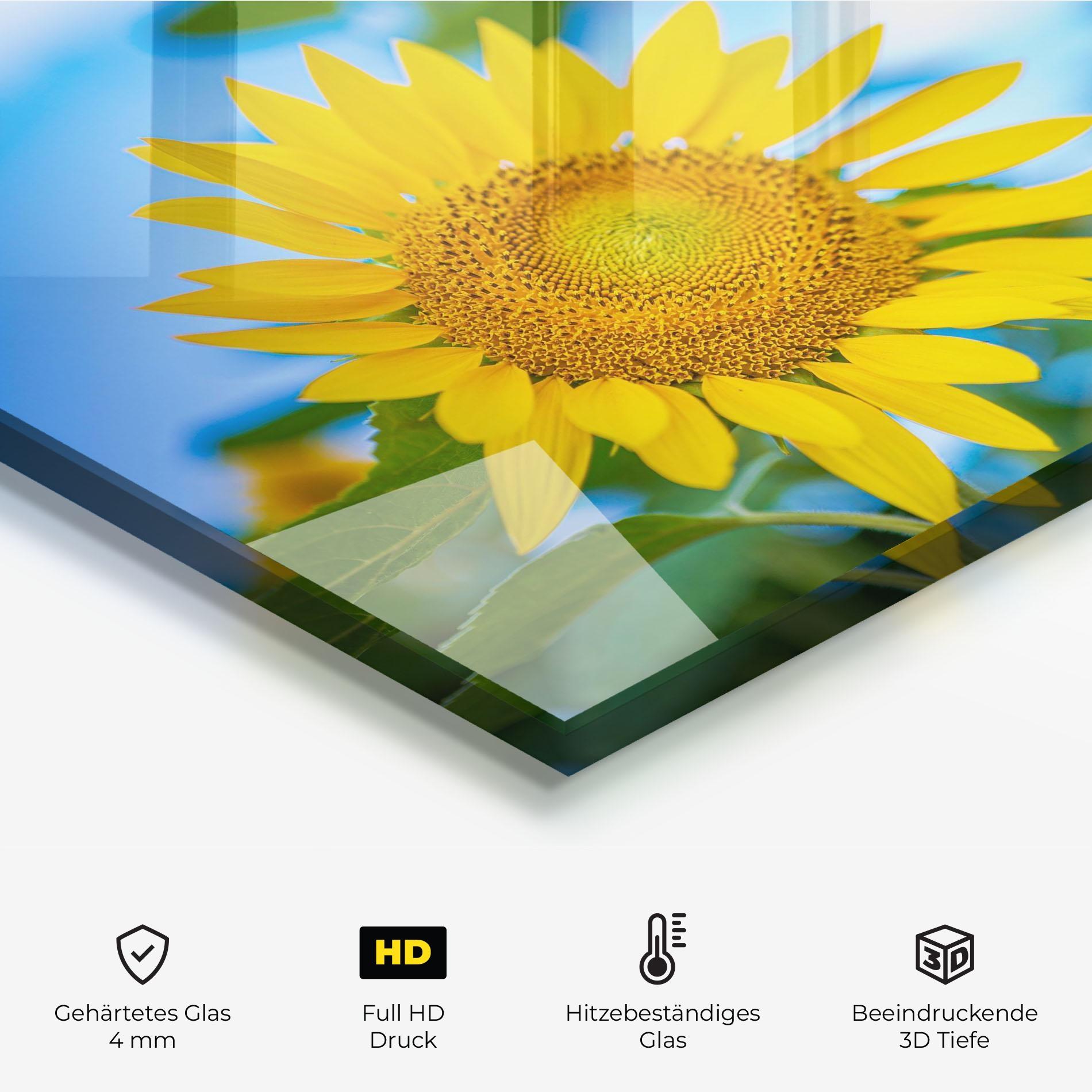 Küchenrückwand Glas Sunflower Sky mockup 2