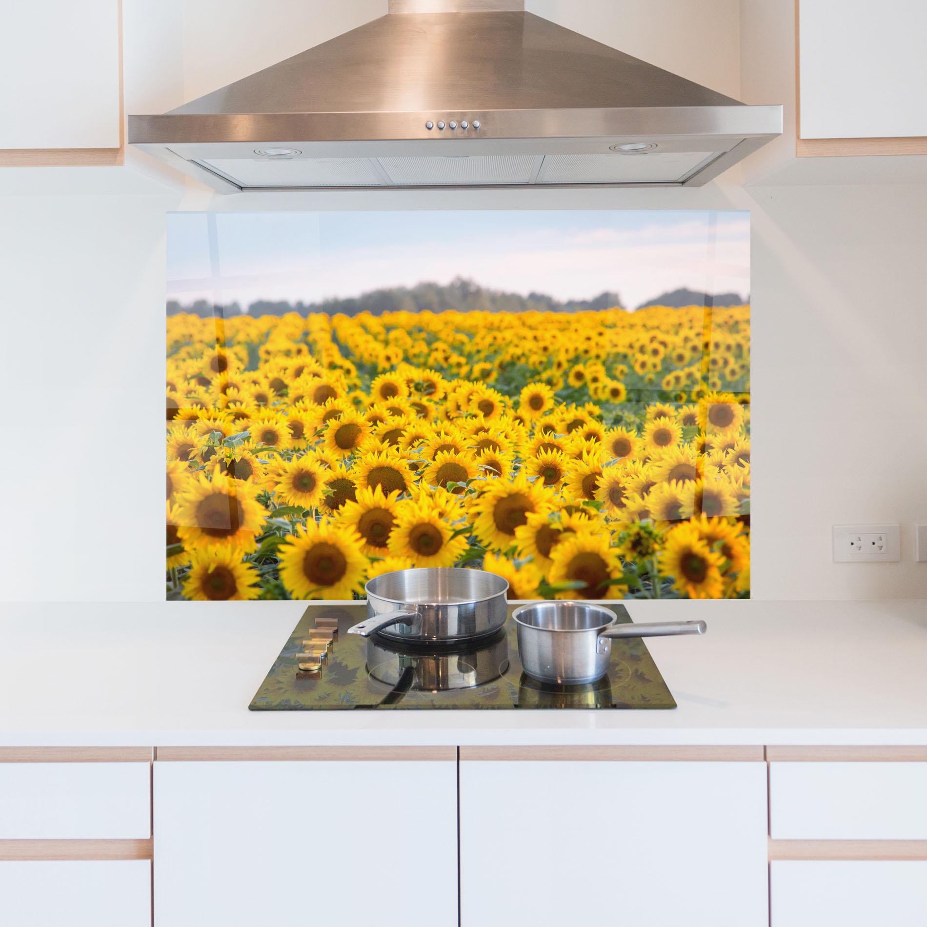Küchenrückwand Glas Blooming Sunflowers mockup 5