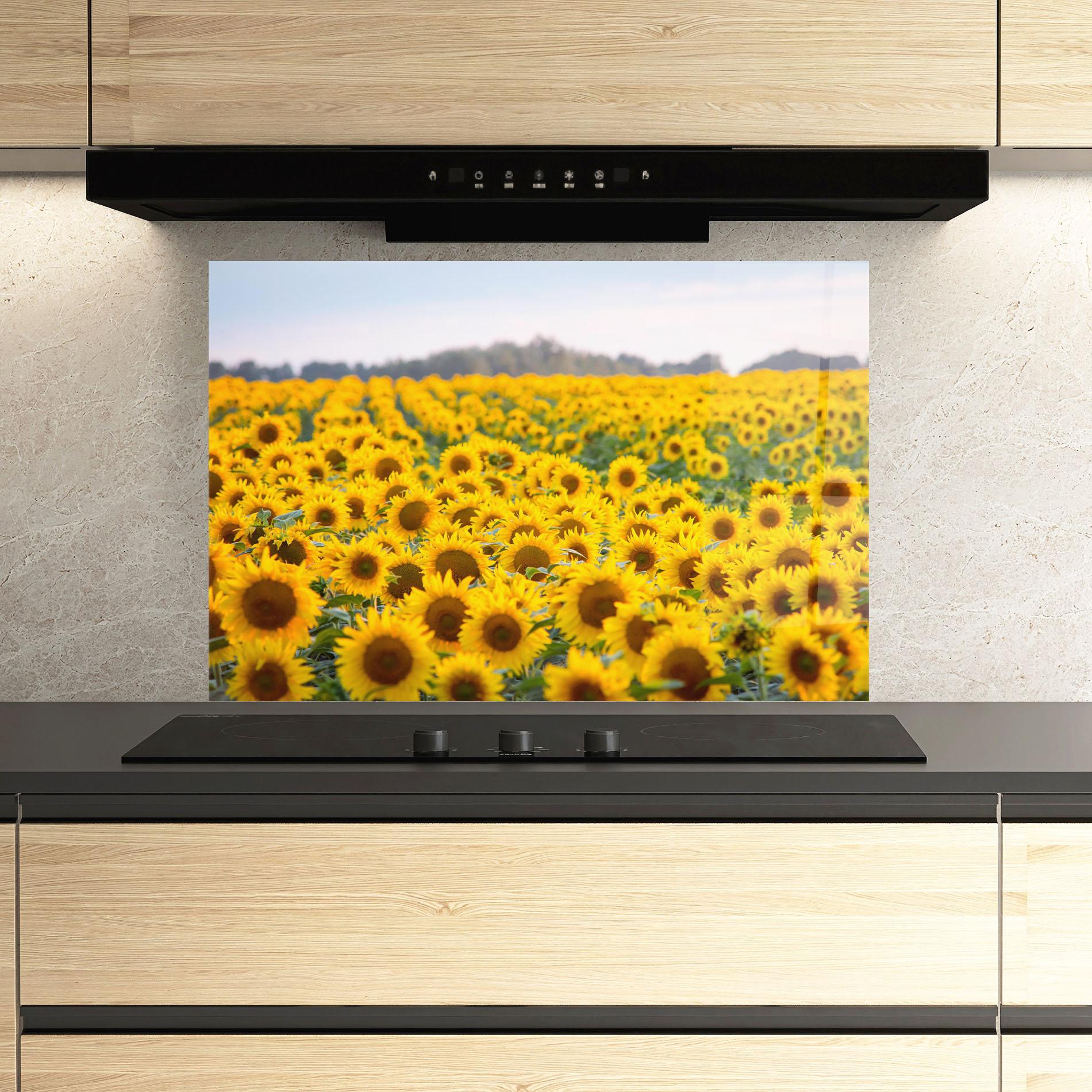 Küchenrückwand Glas Blooming Sunflowers mockup 3