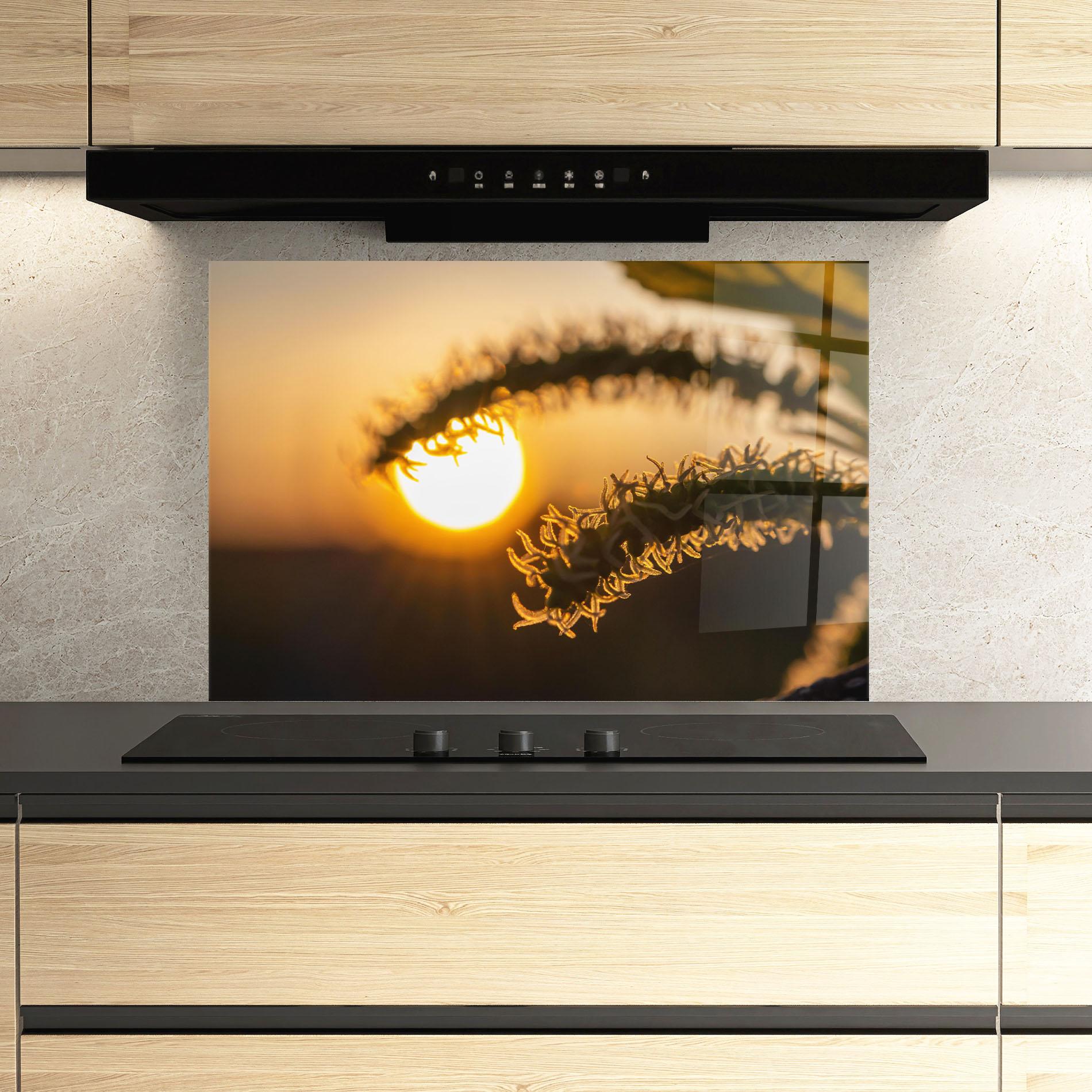 Küchenrückwand Glas Plant Shilouette mockup 3