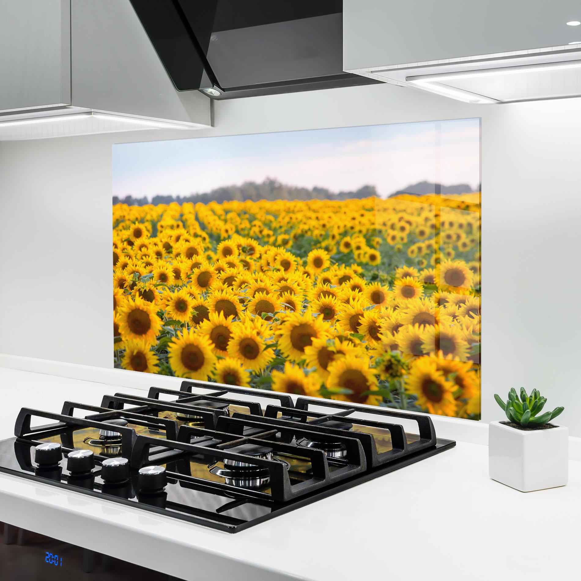 Küchenrückwand Glas Blooming Sunflowers mockup 6