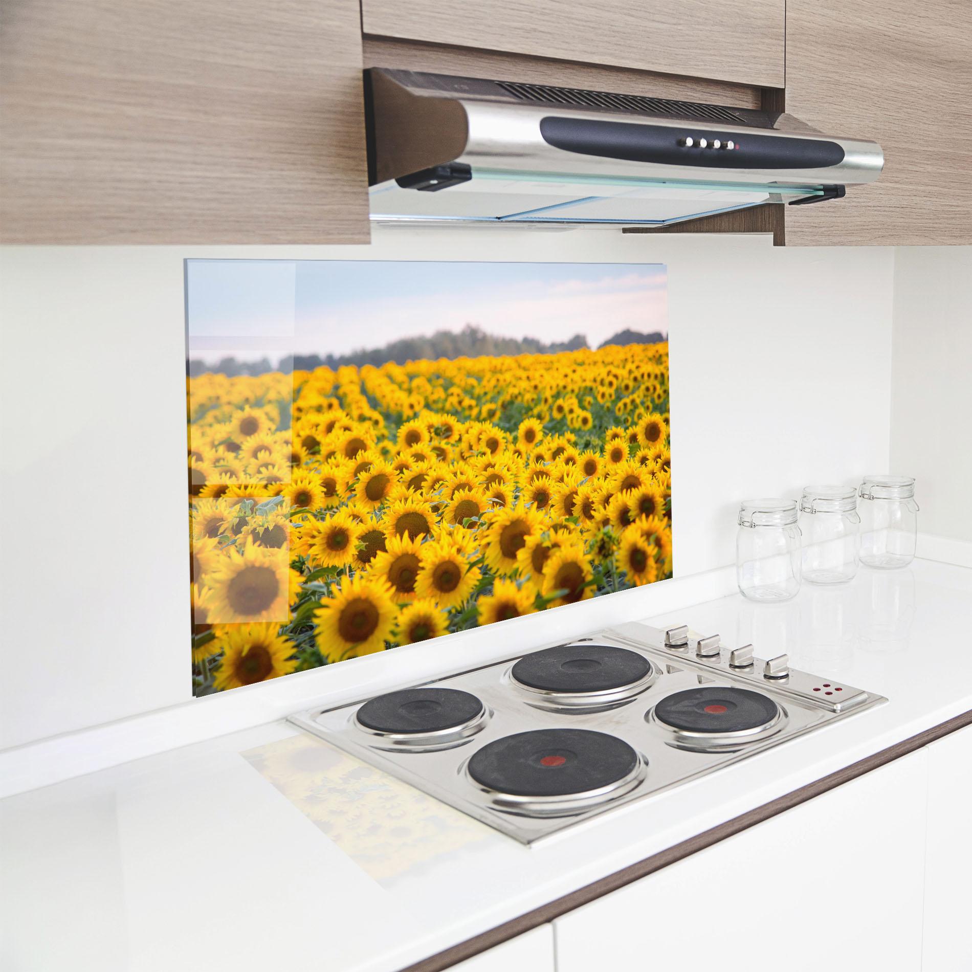 Küchenrückwand Glas Blooming Sunflowers mockup 8