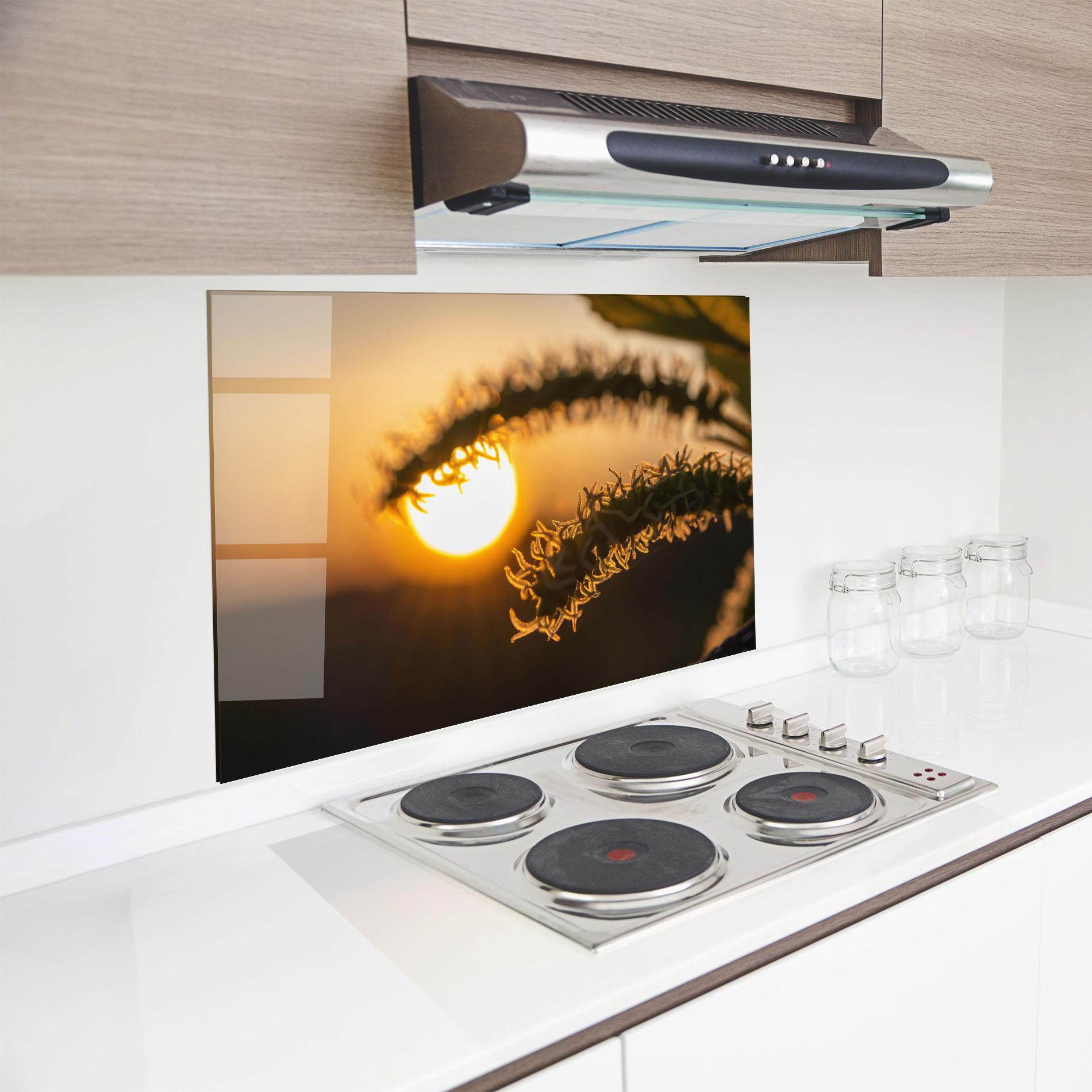 Küchenrückwand Glas Plant Shilouette mockup 8