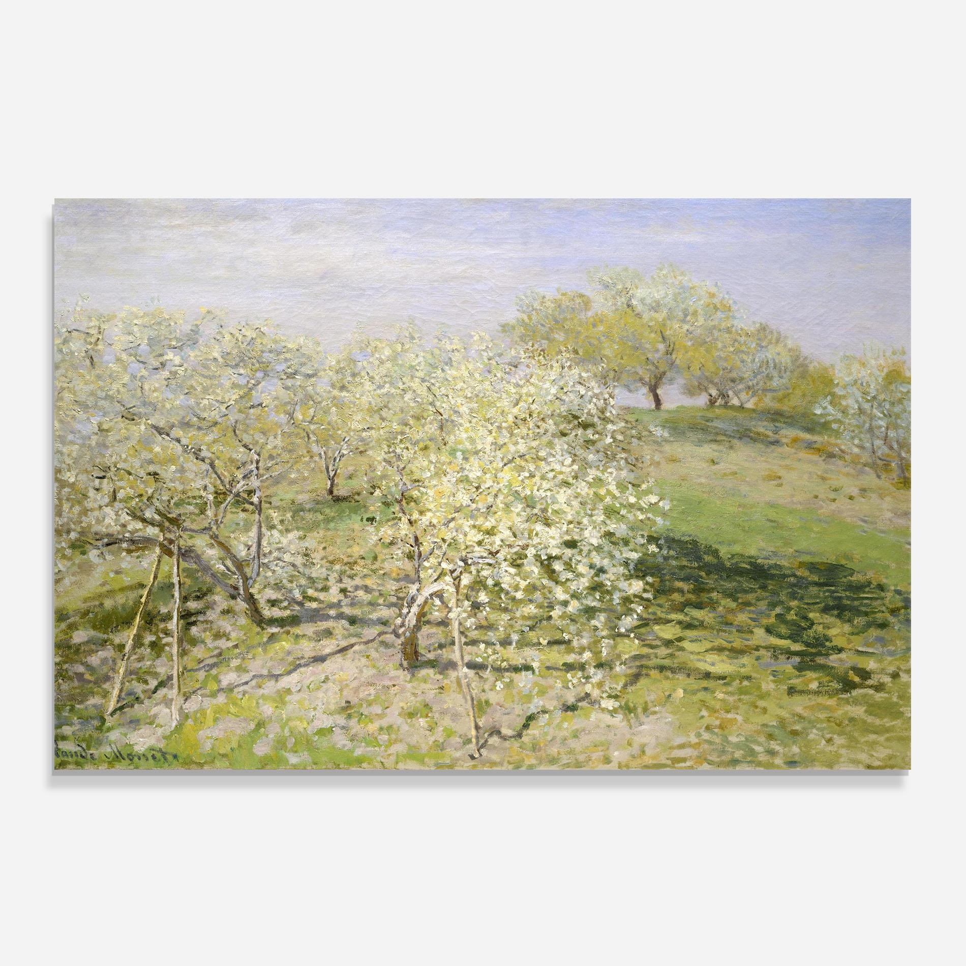Küchenrückwand Glas Fruit Trees In Bloom mockup 0