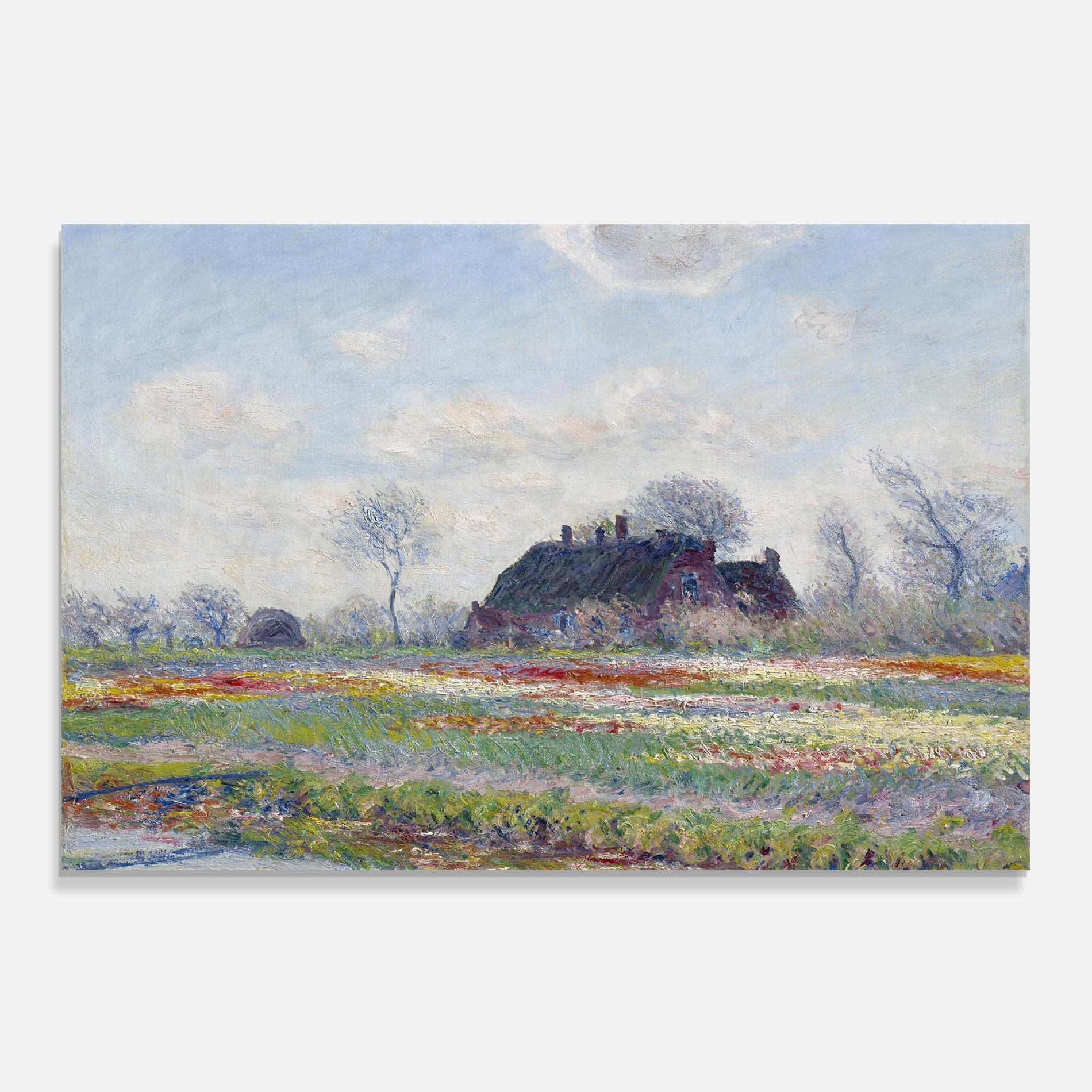 Küchenrückwand Glas Tulip Fields At Sassenheim mockup 0