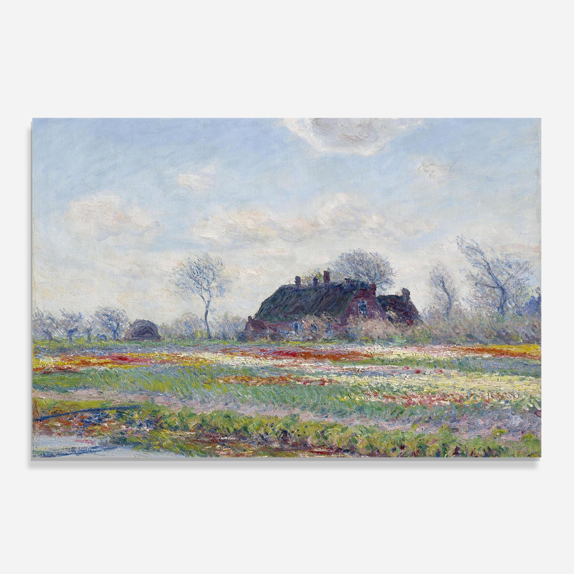 Tulip Fields At Sassenheim mockup 0