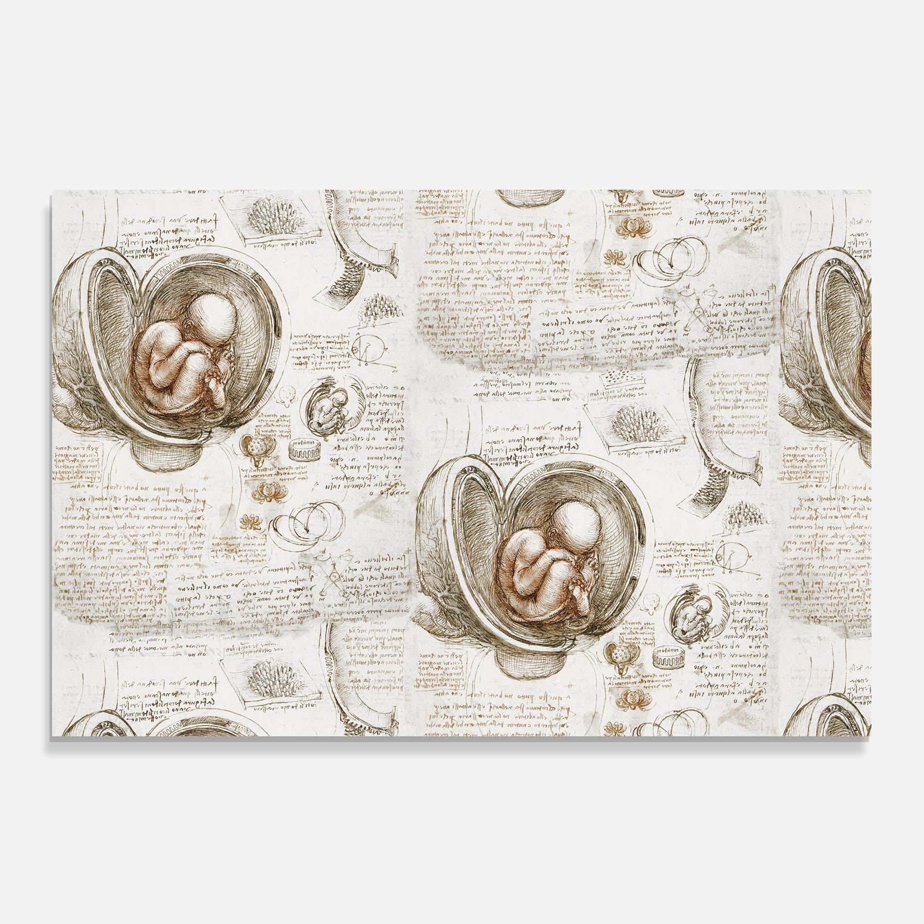 Küchenrückwand Glas Leonardo Studies Of The Foetus mockup 0