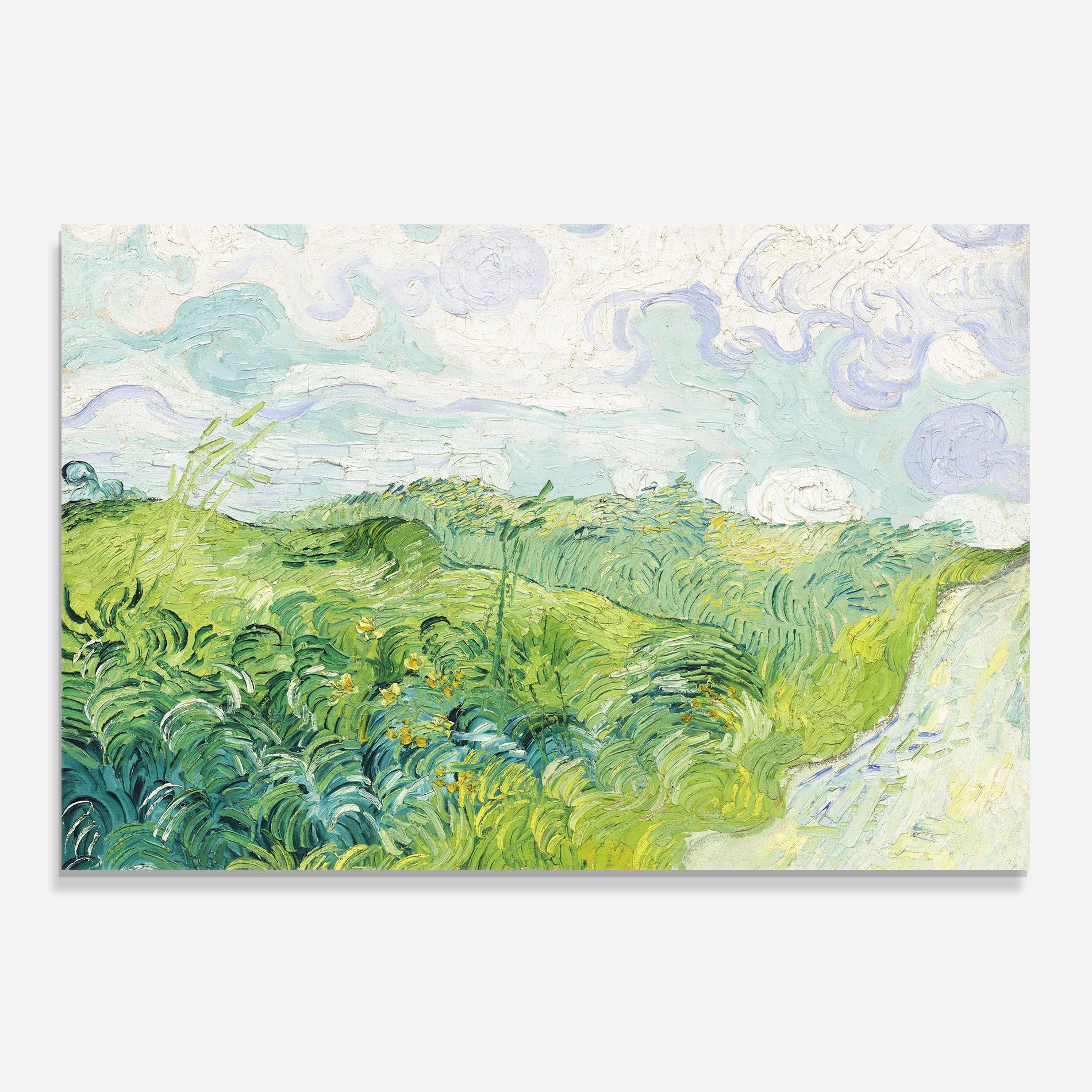 Green Wheat Fields mockup 0