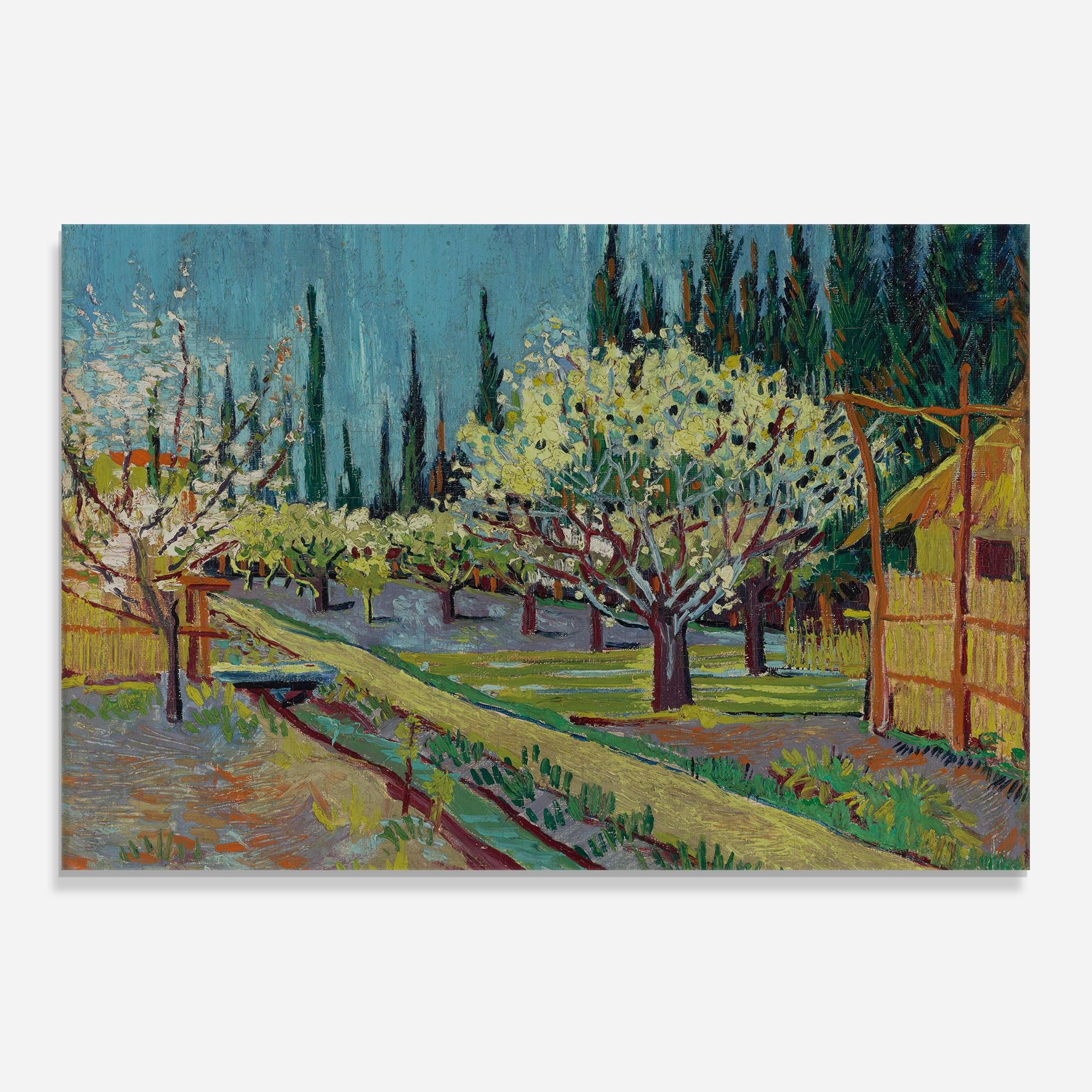 Orchard Bordered Cypresse mockup 0