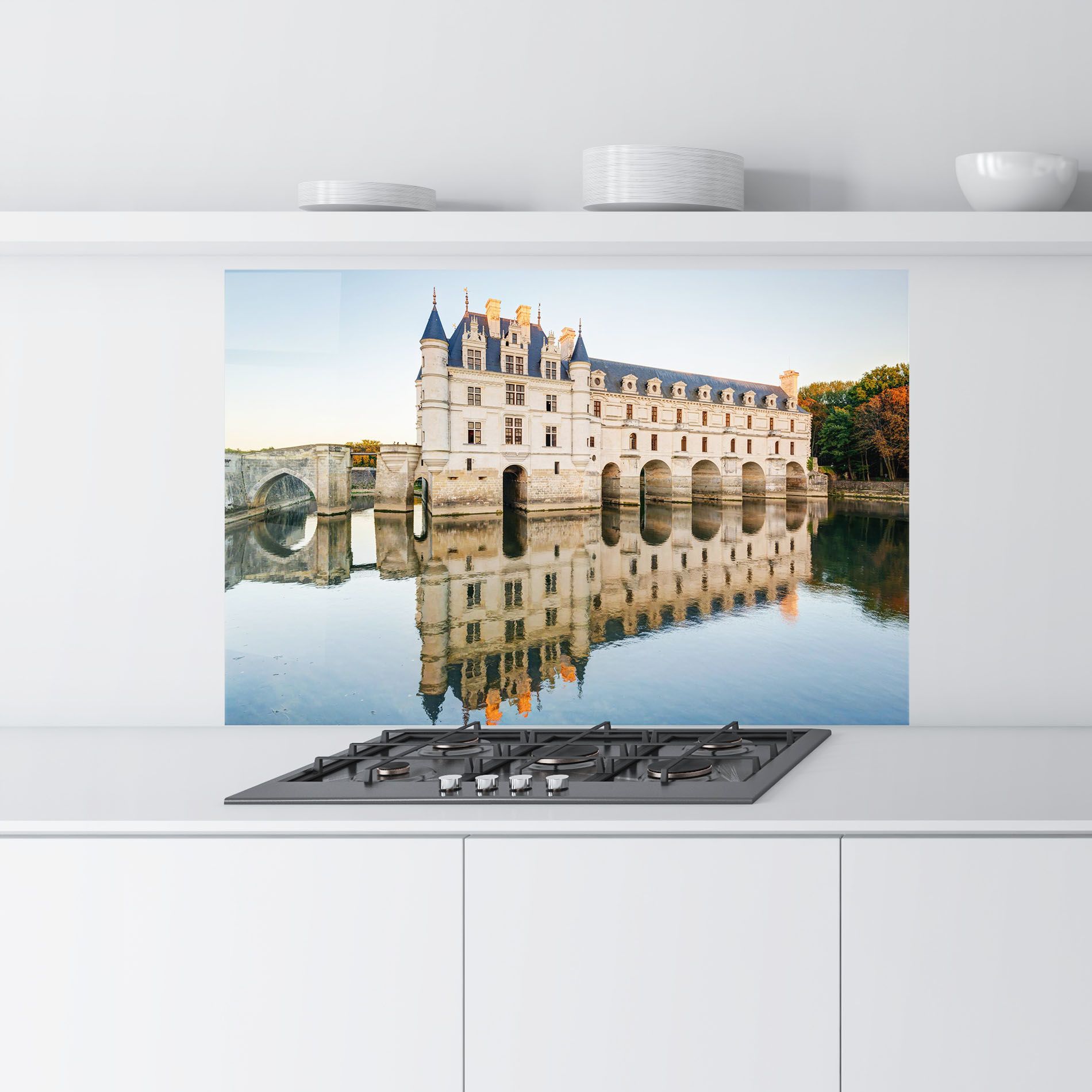 Chateau Chenonceau Castle mockup 9