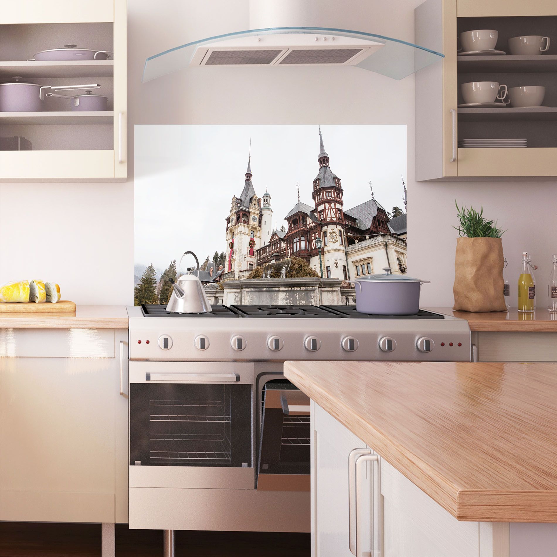 Medieval Castle Sinaia mockup 1