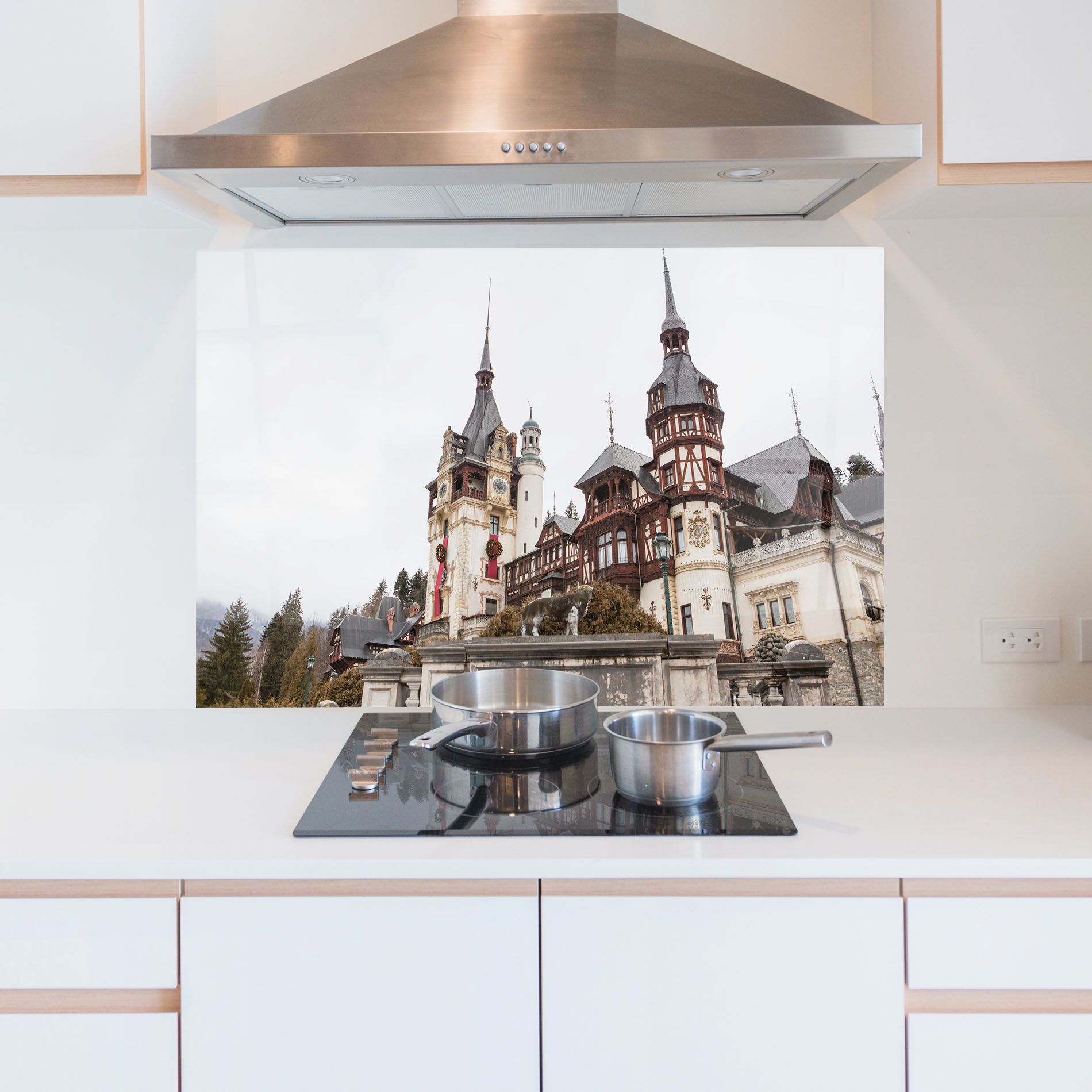 Medieval Castle Sinaia mockup 5