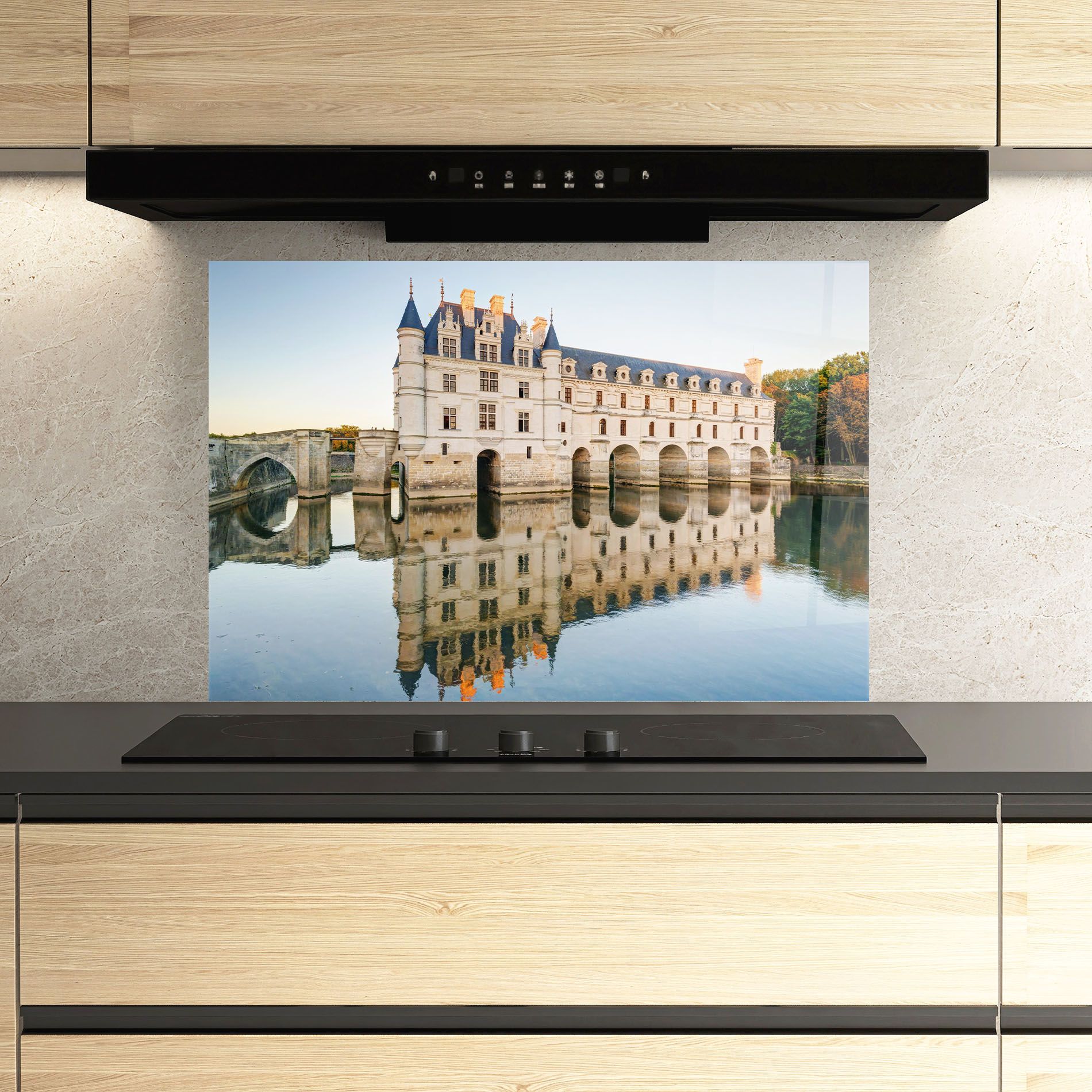 Chateau Chenonceau Castle mockup 3