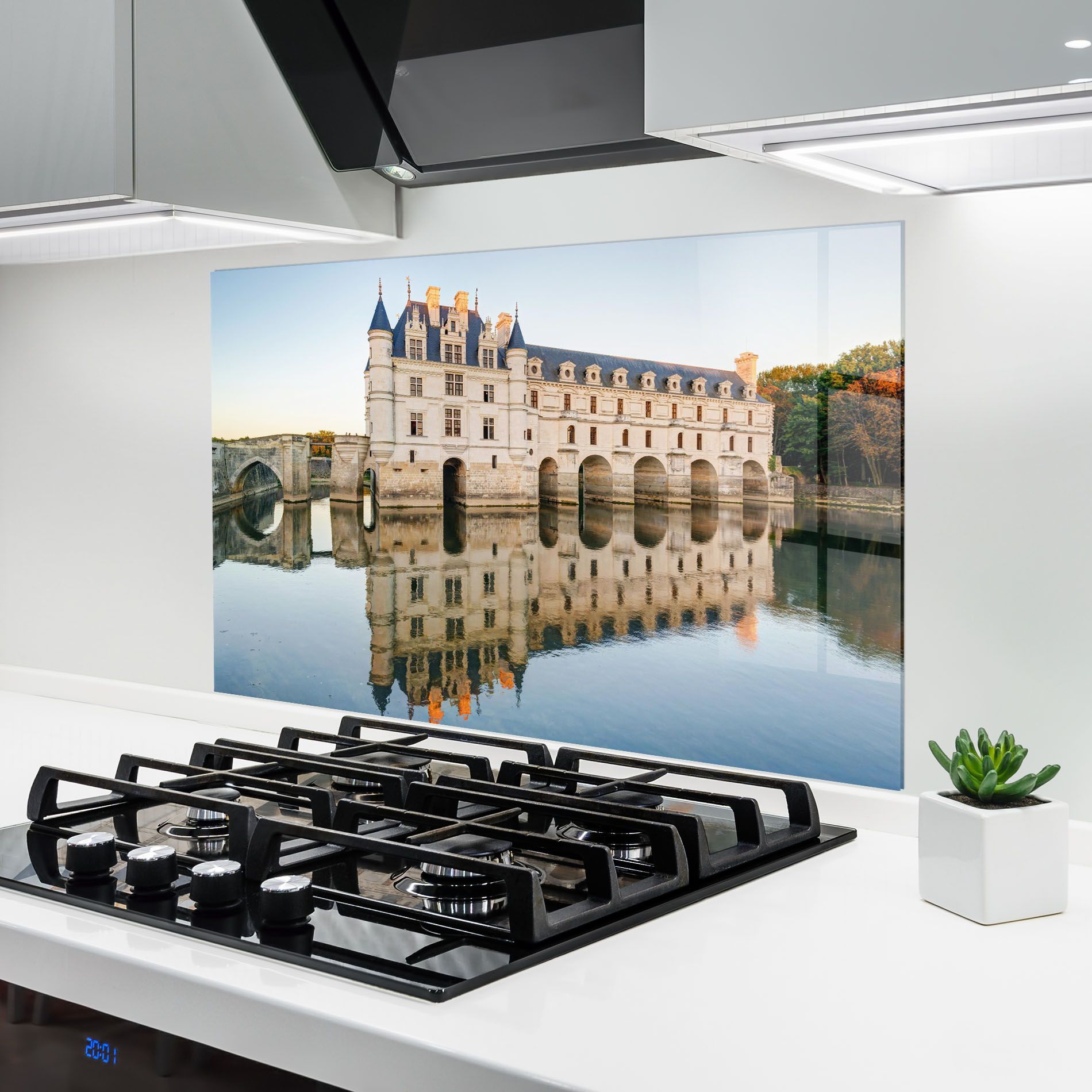 Chateau Chenonceau Castle mockup 6