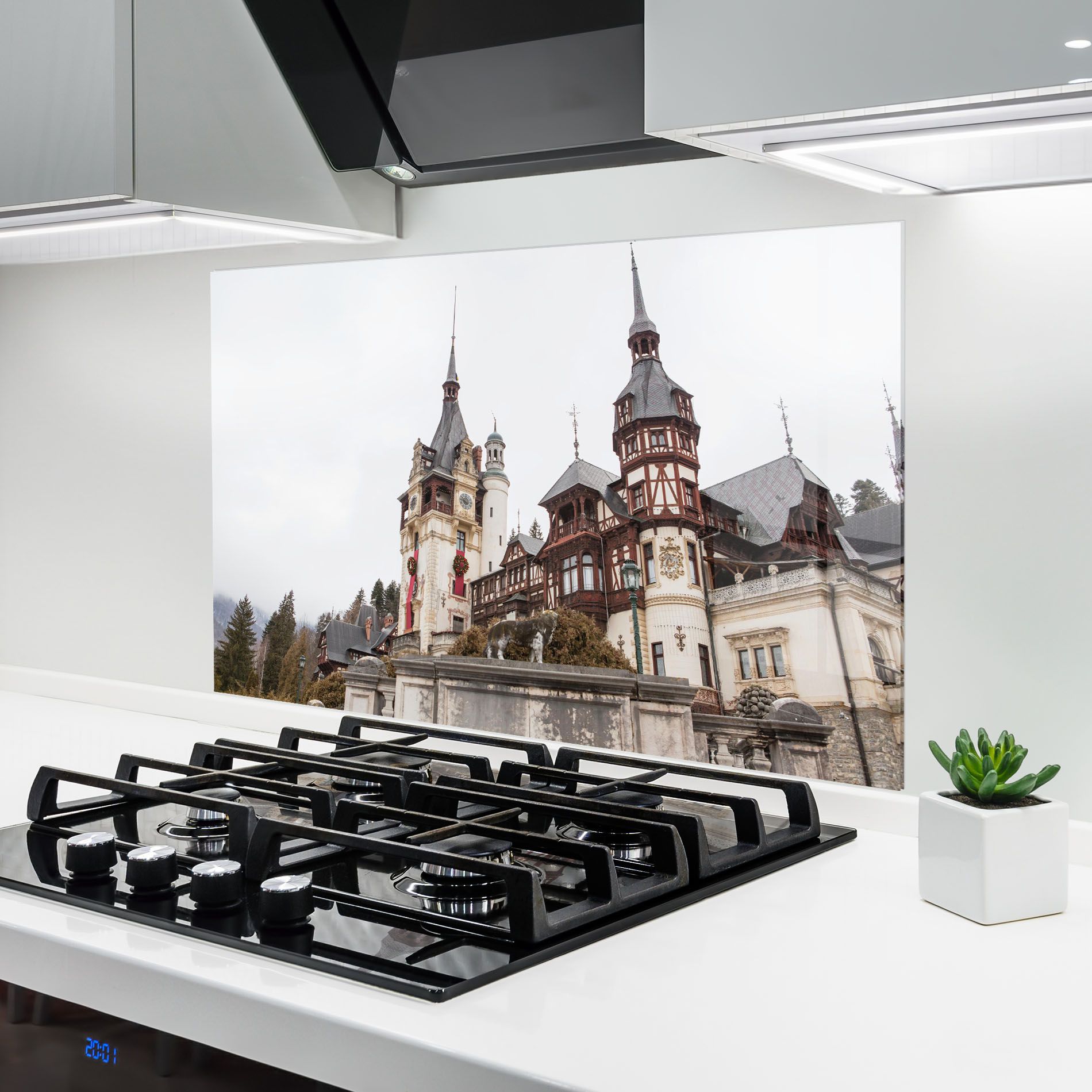 Medieval Castle Sinaia mockup 6