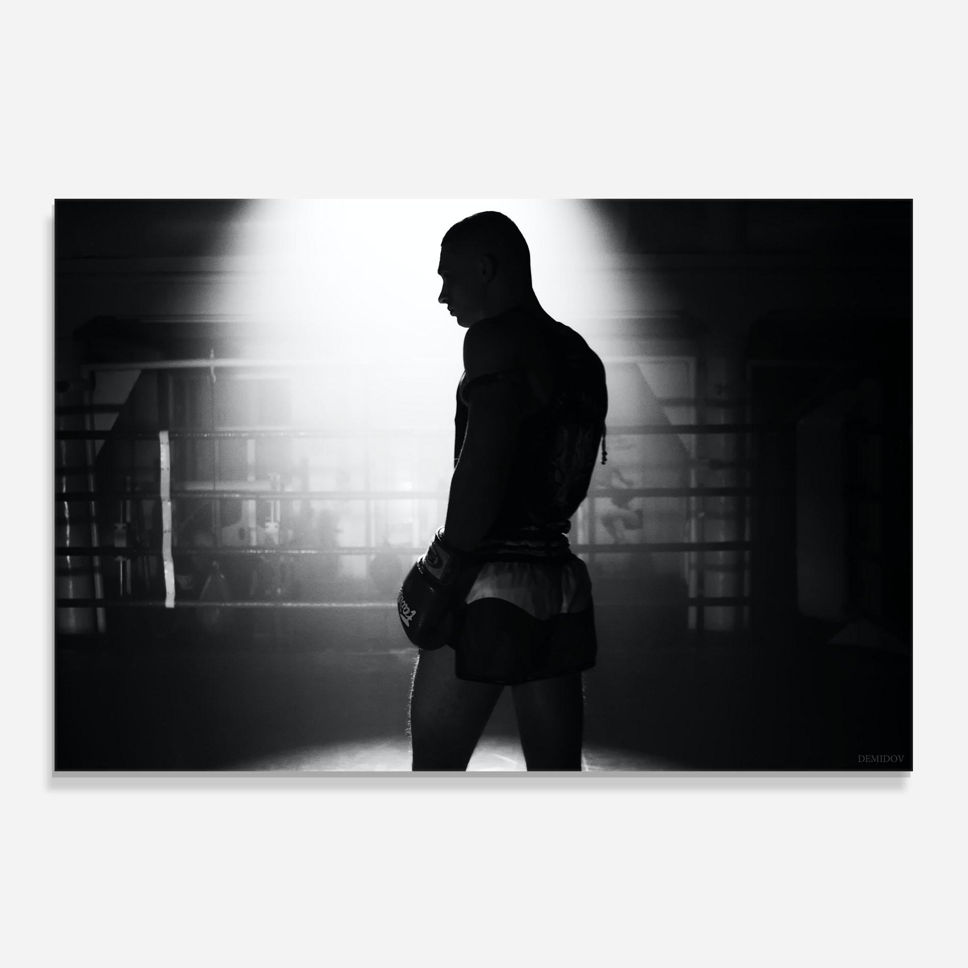 Küchenrückwand Glas Boxer Shilouette mockup 0