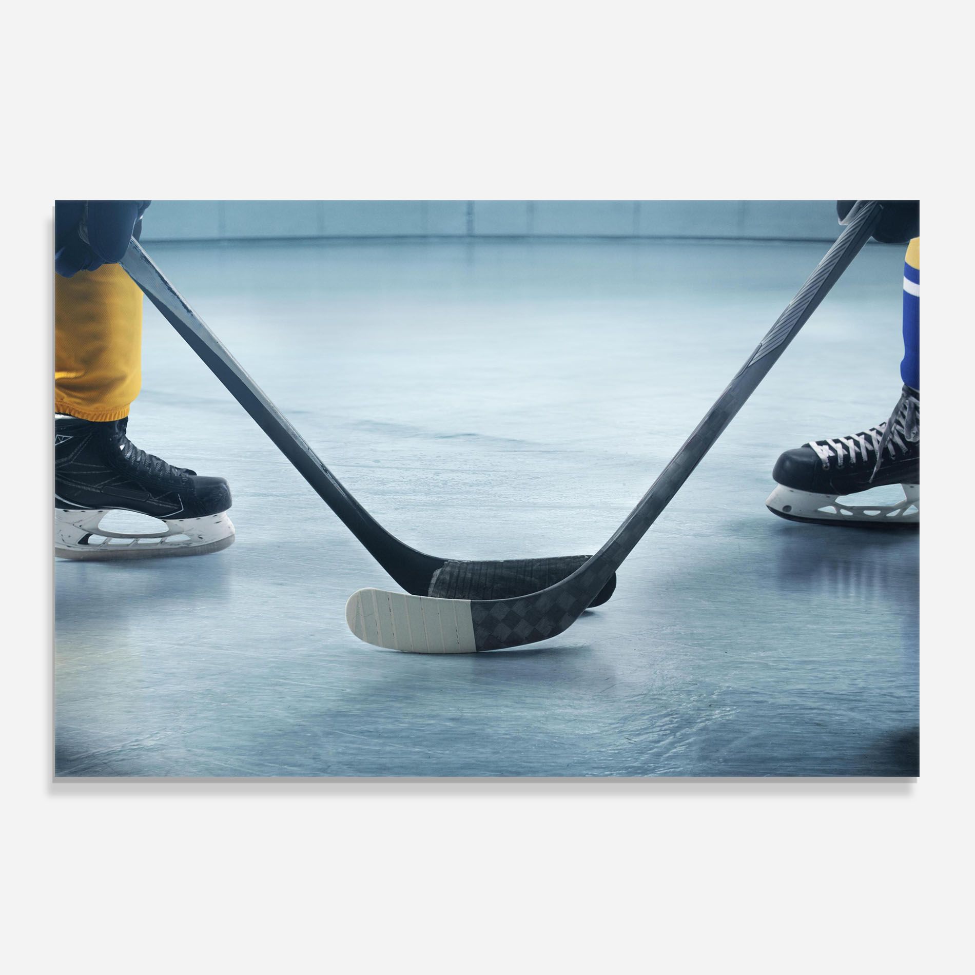 Ice Insight mockup 0